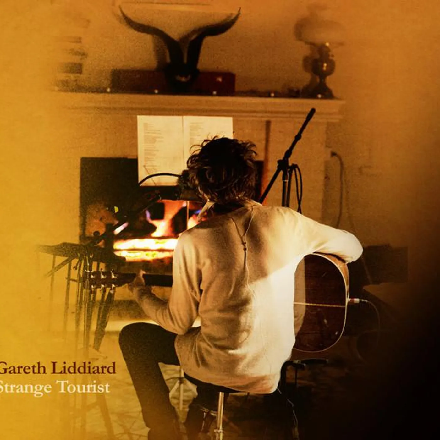 Gareth Liddiard Brand Page