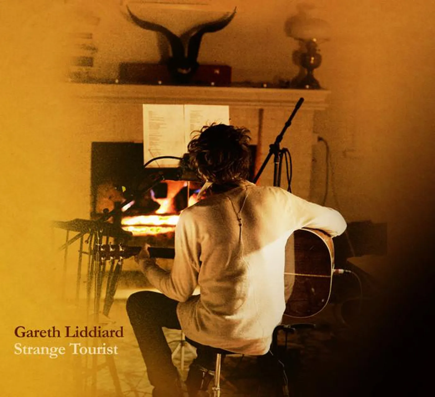 Gareth Liddiard