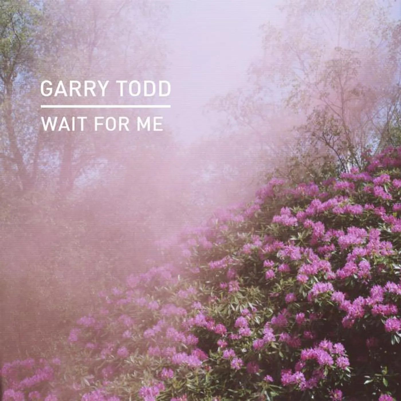 Garry Todd