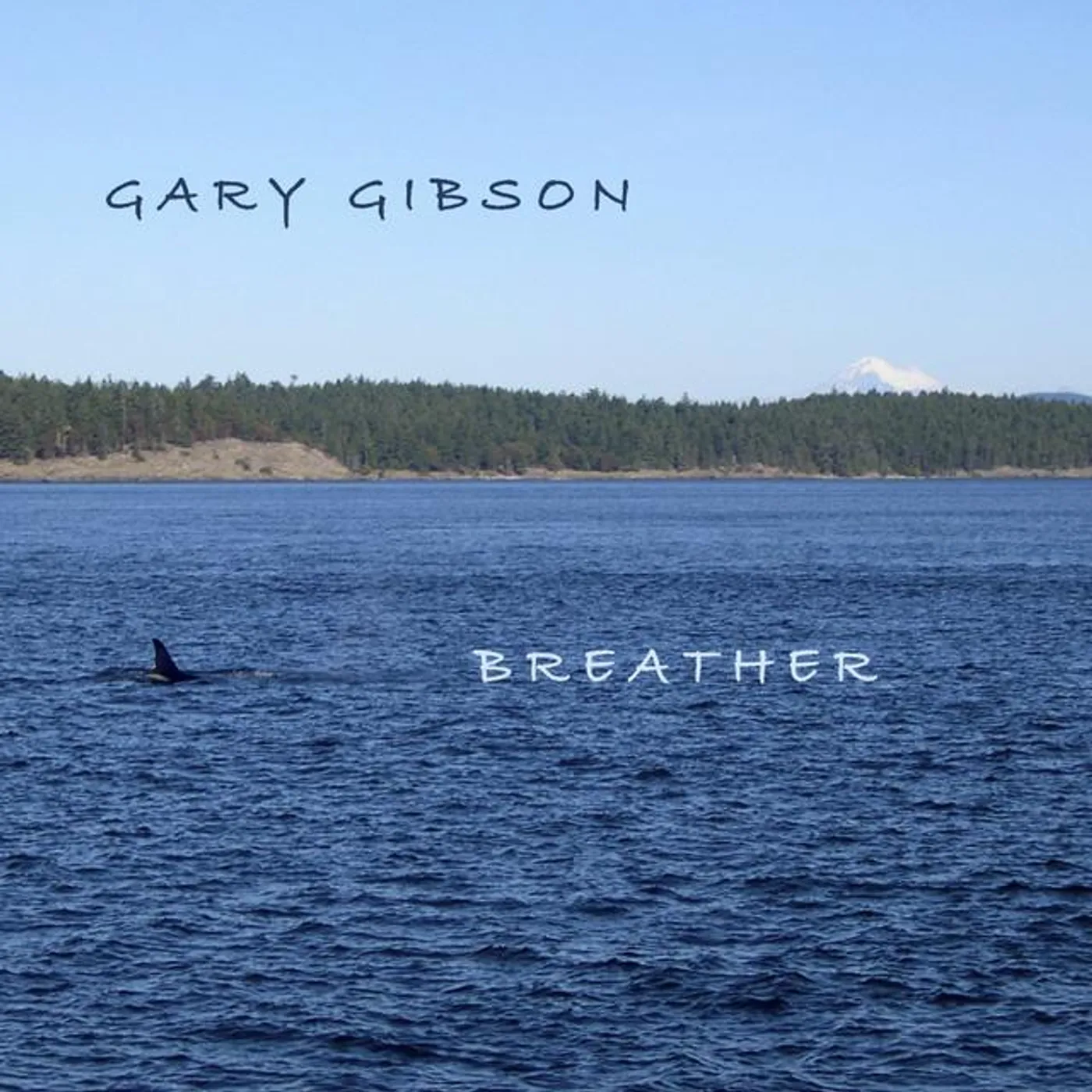 Gary Gibson Brand Page