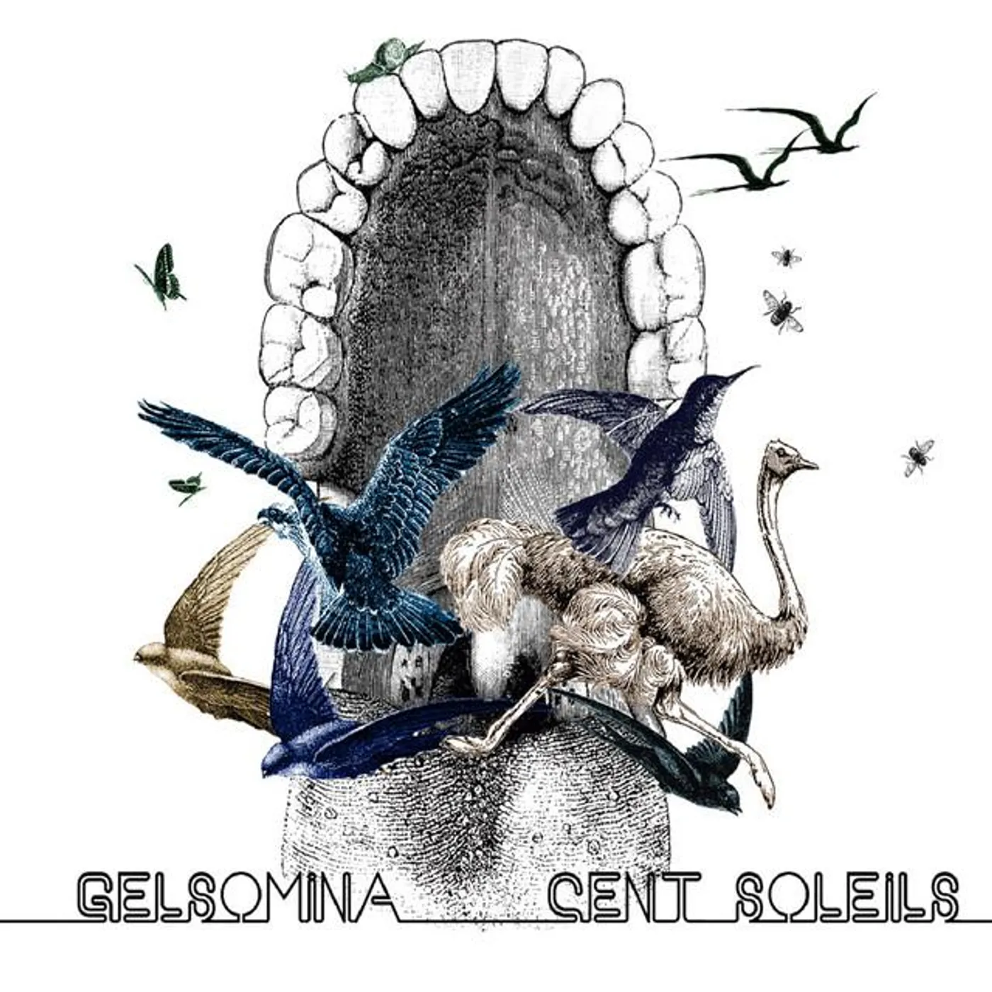 Gelsomina