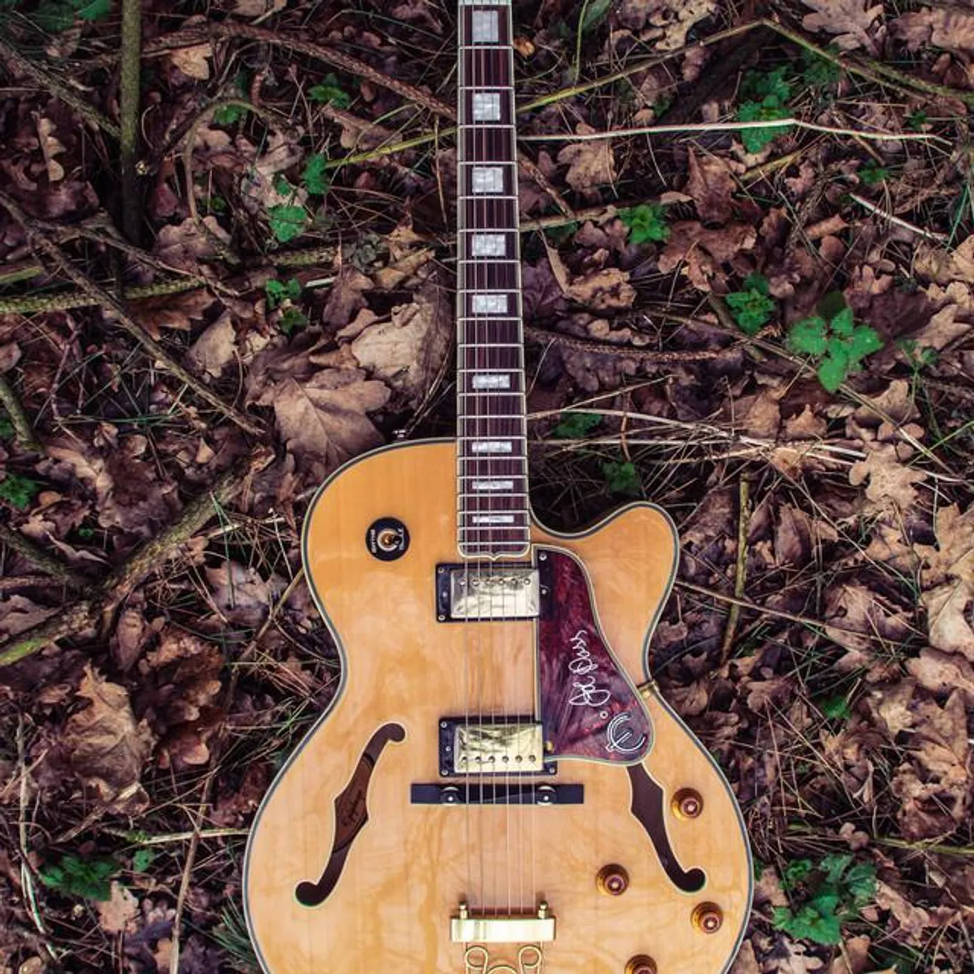 Gentle Guitar Brand Page