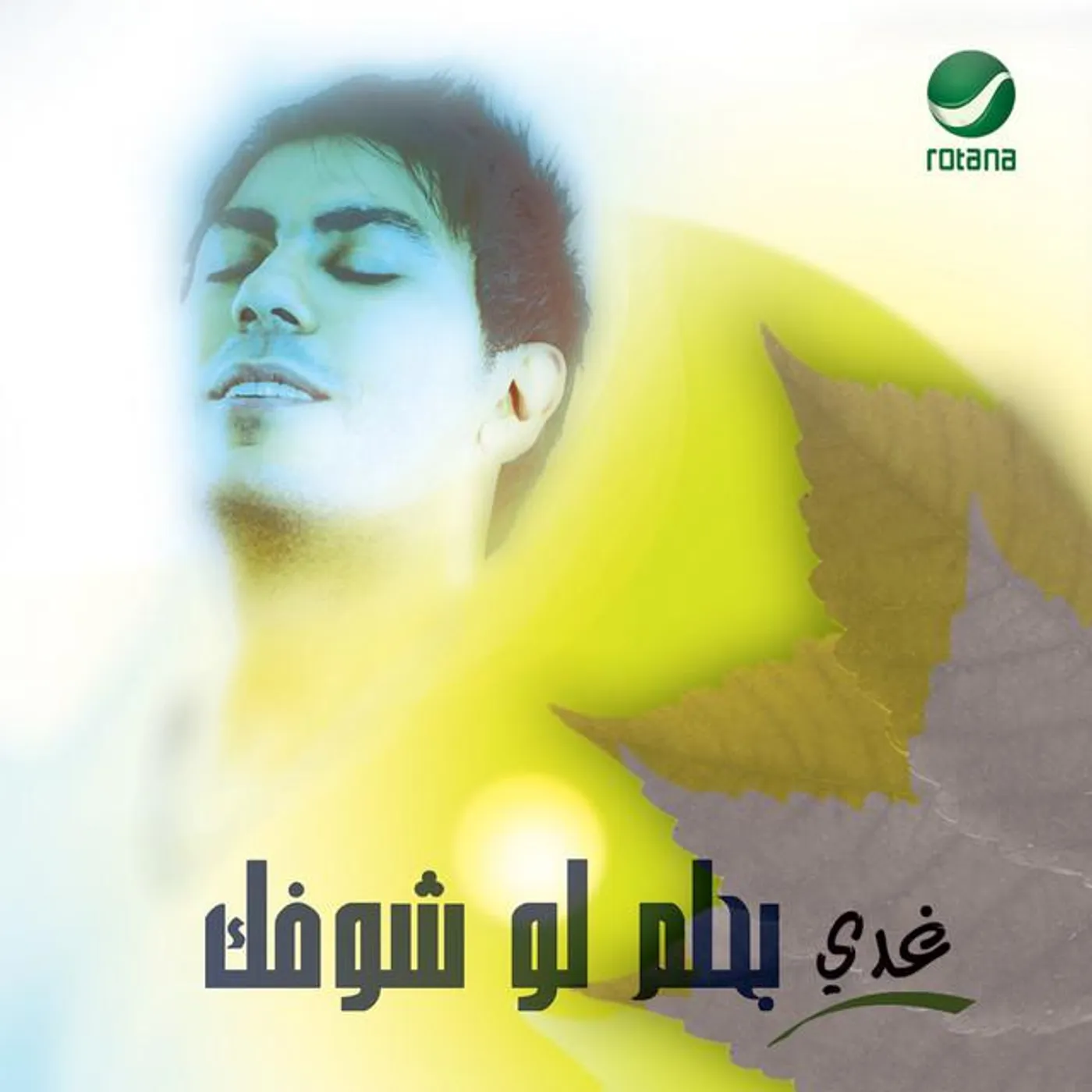 Ghadi