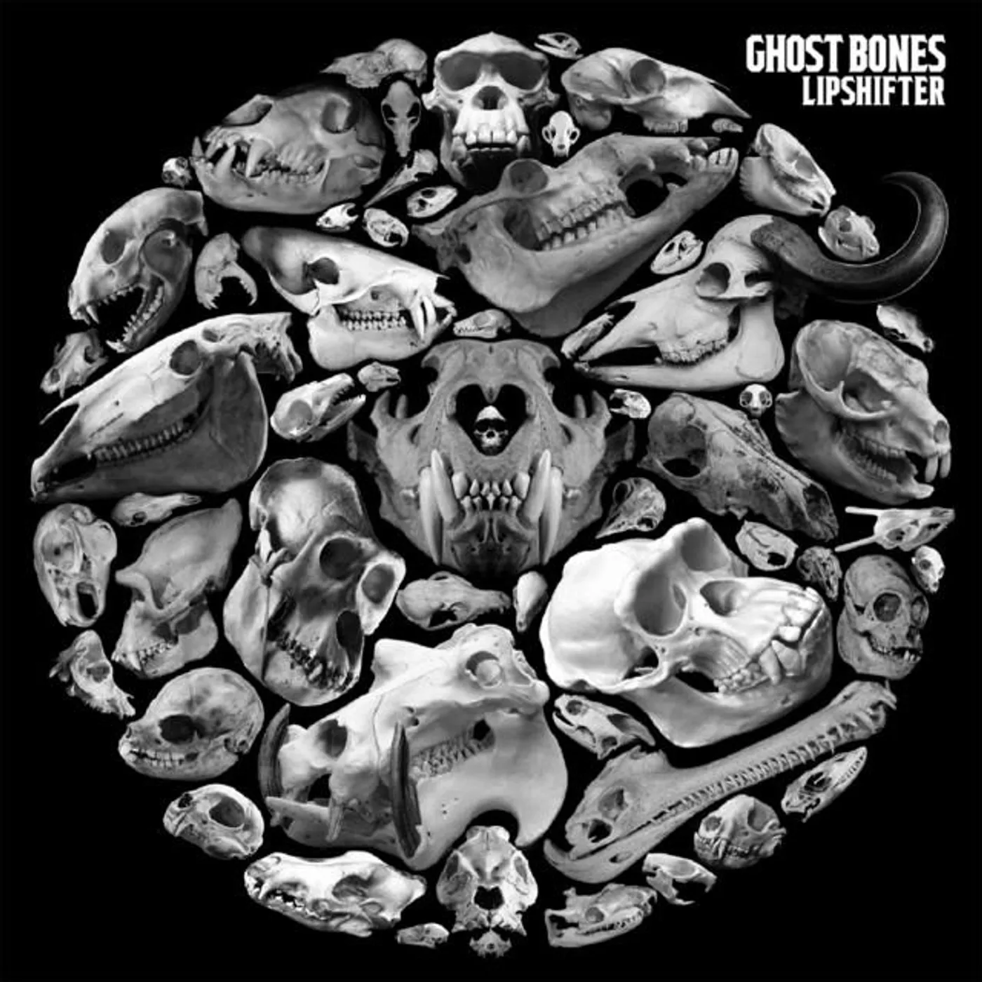 Ghost Bones