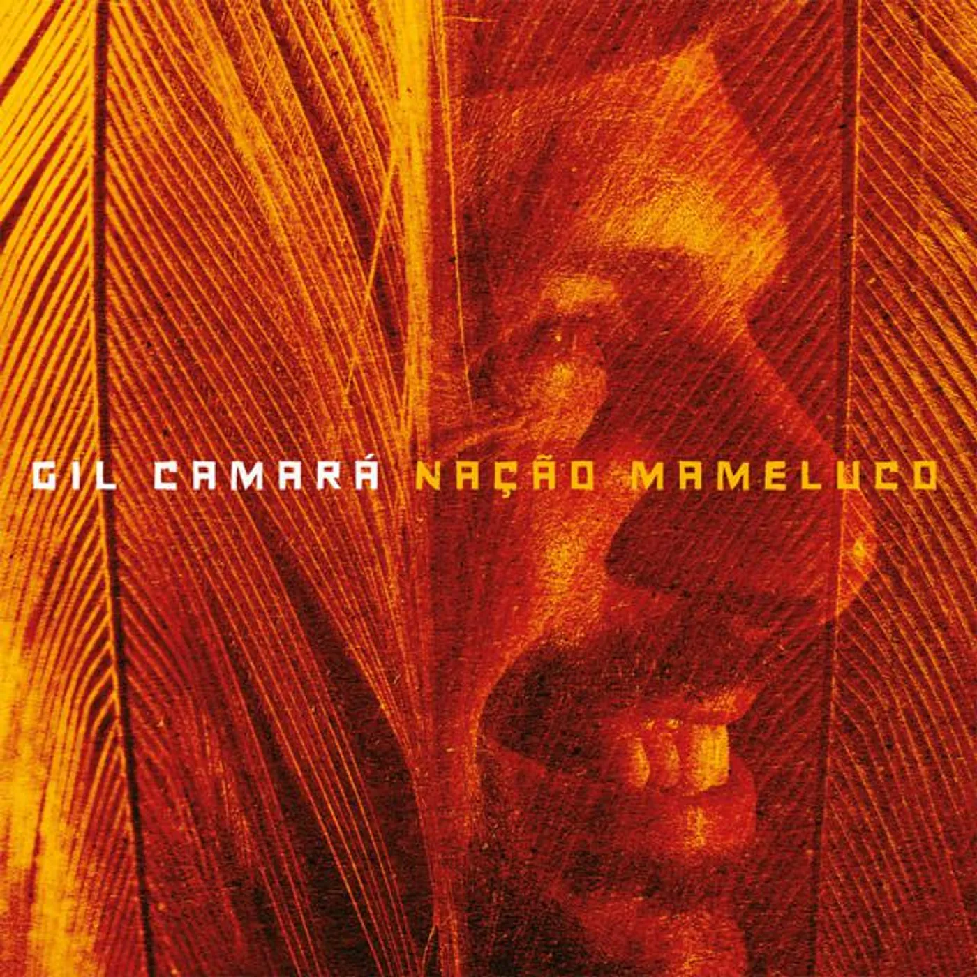 Gil Camará