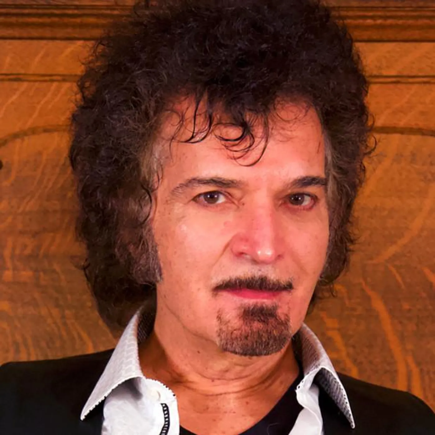 Gino Vannelli Brand Page