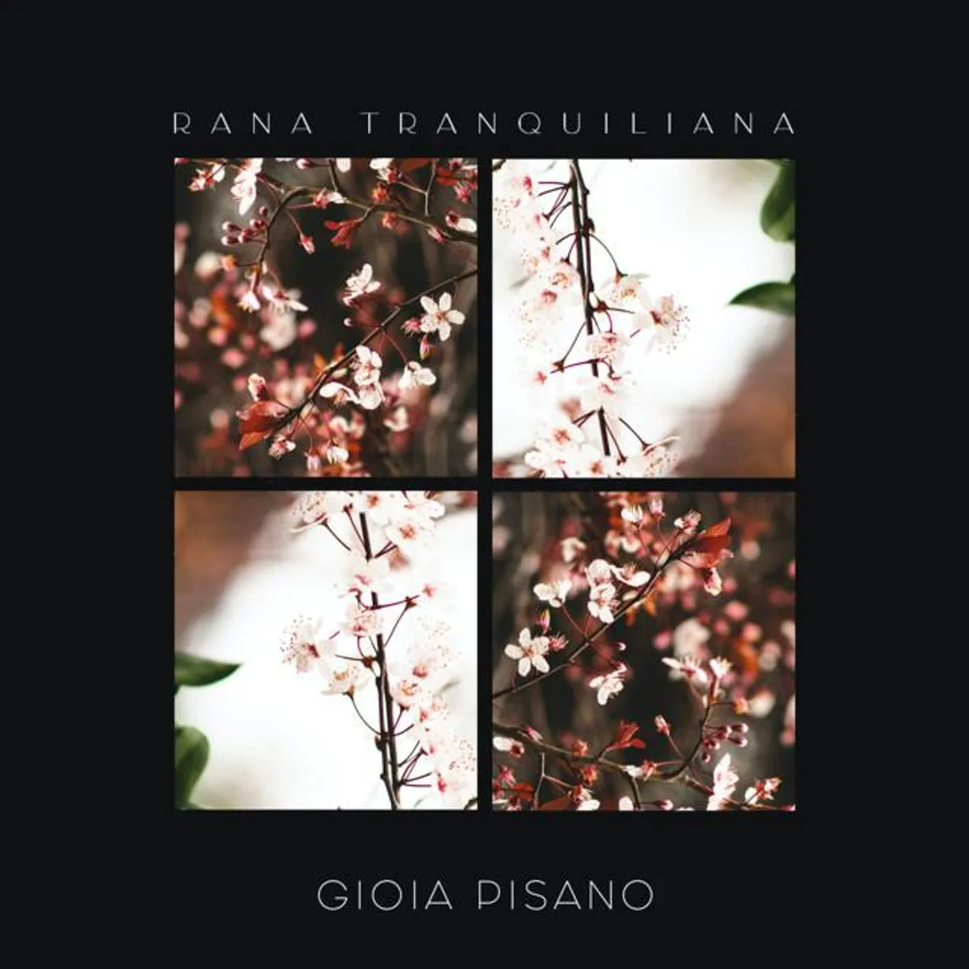 Gioia Pisano Brand Page