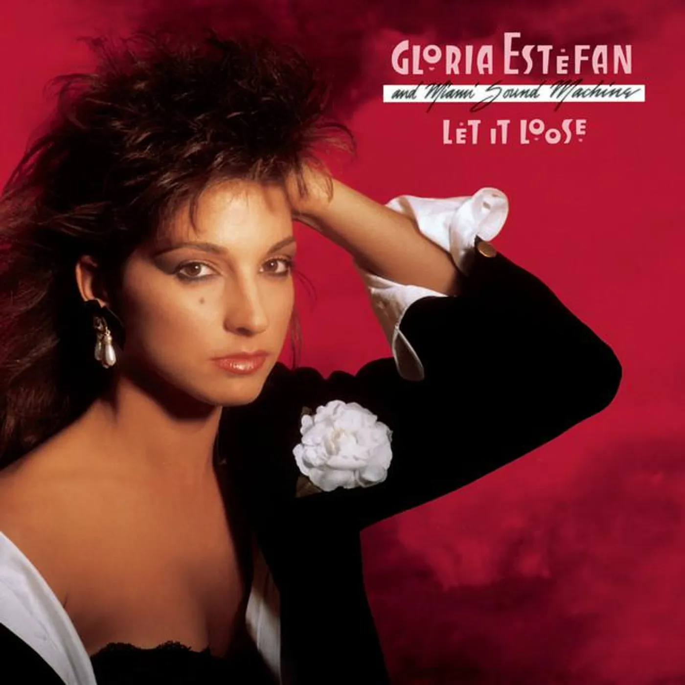 Gloria Estefan And Miami Sound Machine Brand Page