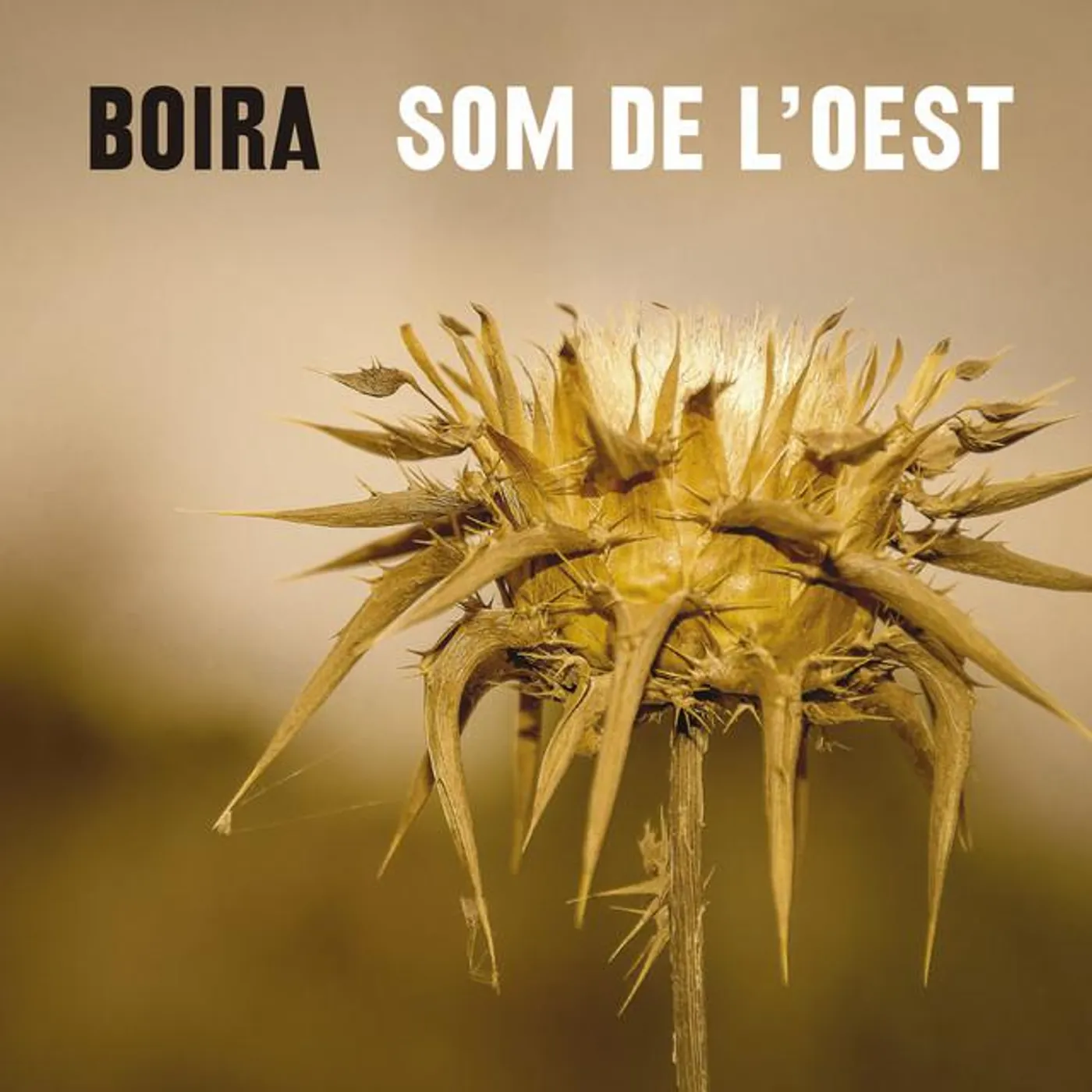 Grup Boira