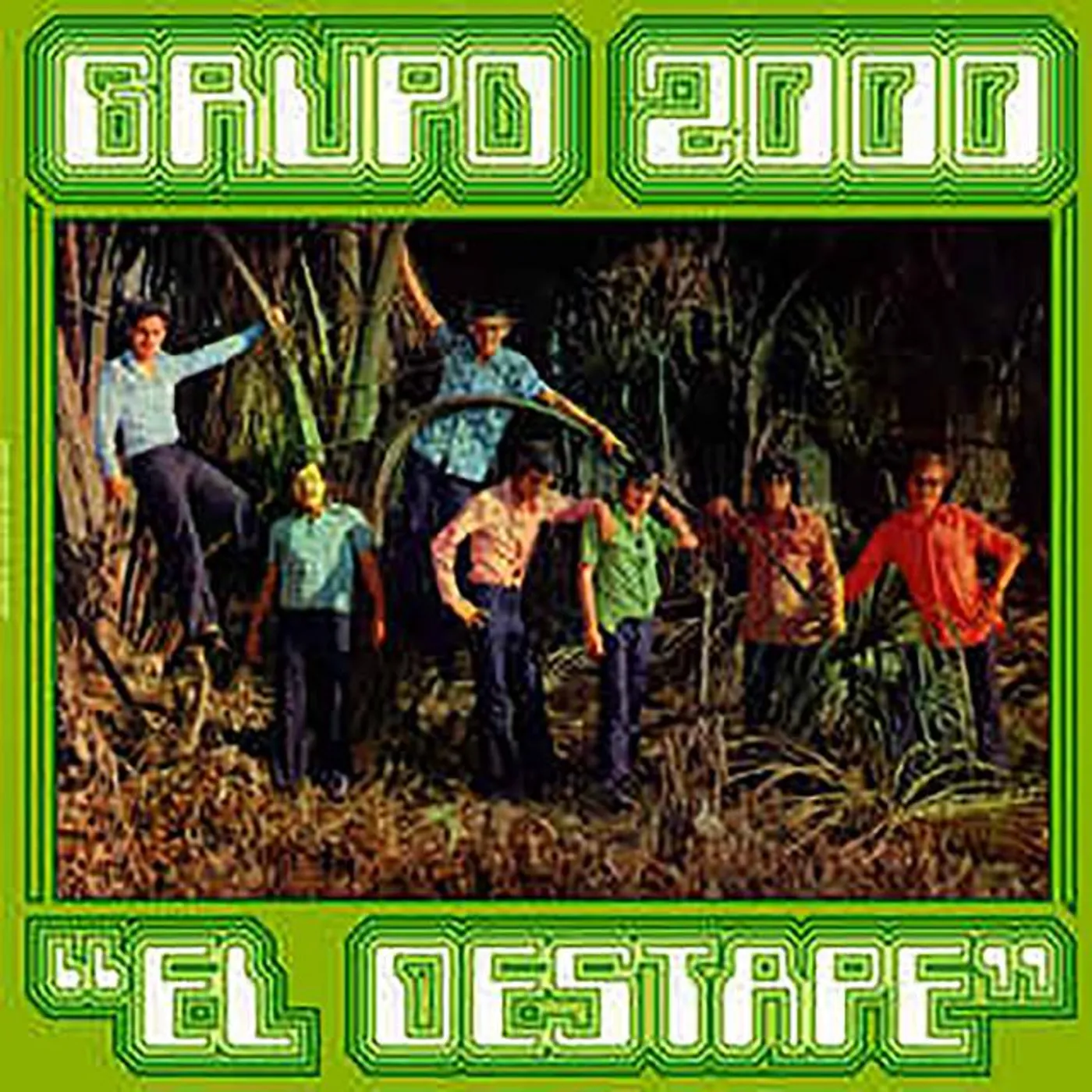 Grupo 2000 Brand Page