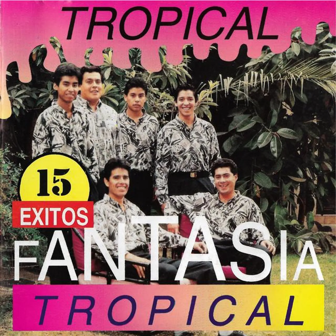 Grupo Fantasia Brand Page