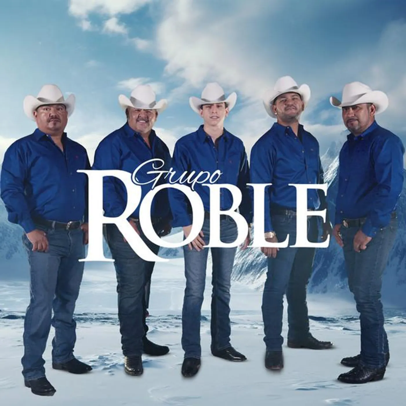 Grupo Roble Brand Page