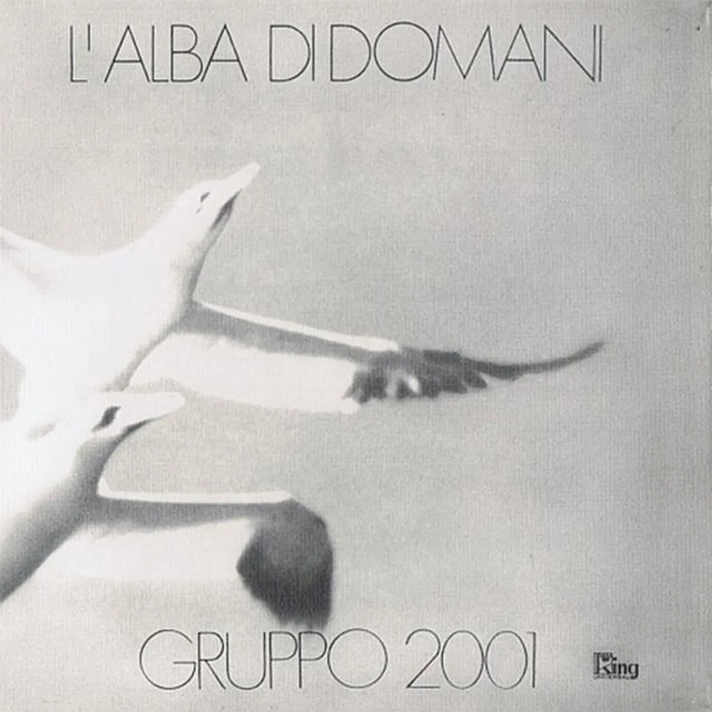 Gruppo 2001 Brand Page