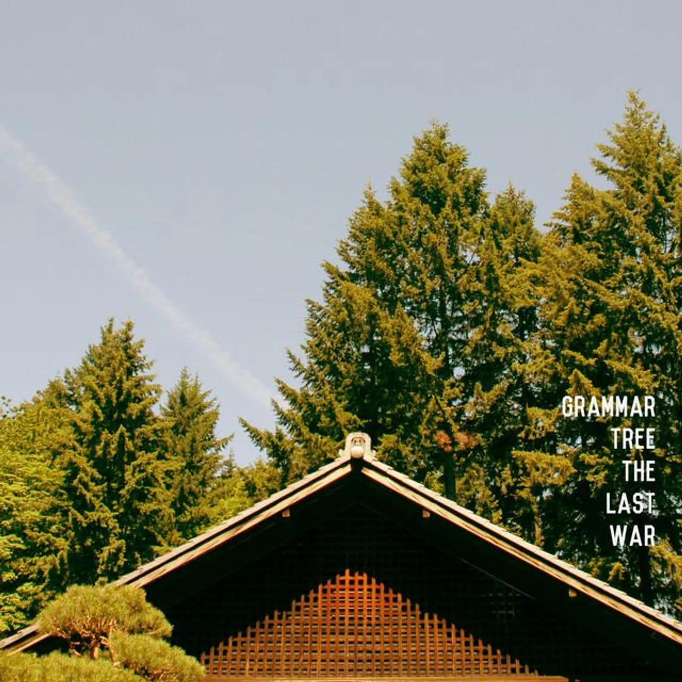 Grammar Tree