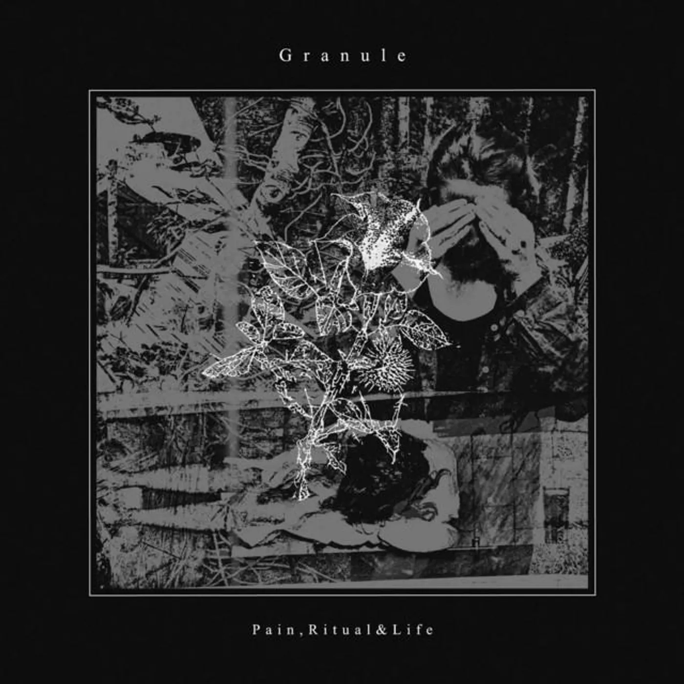 GRANULE
