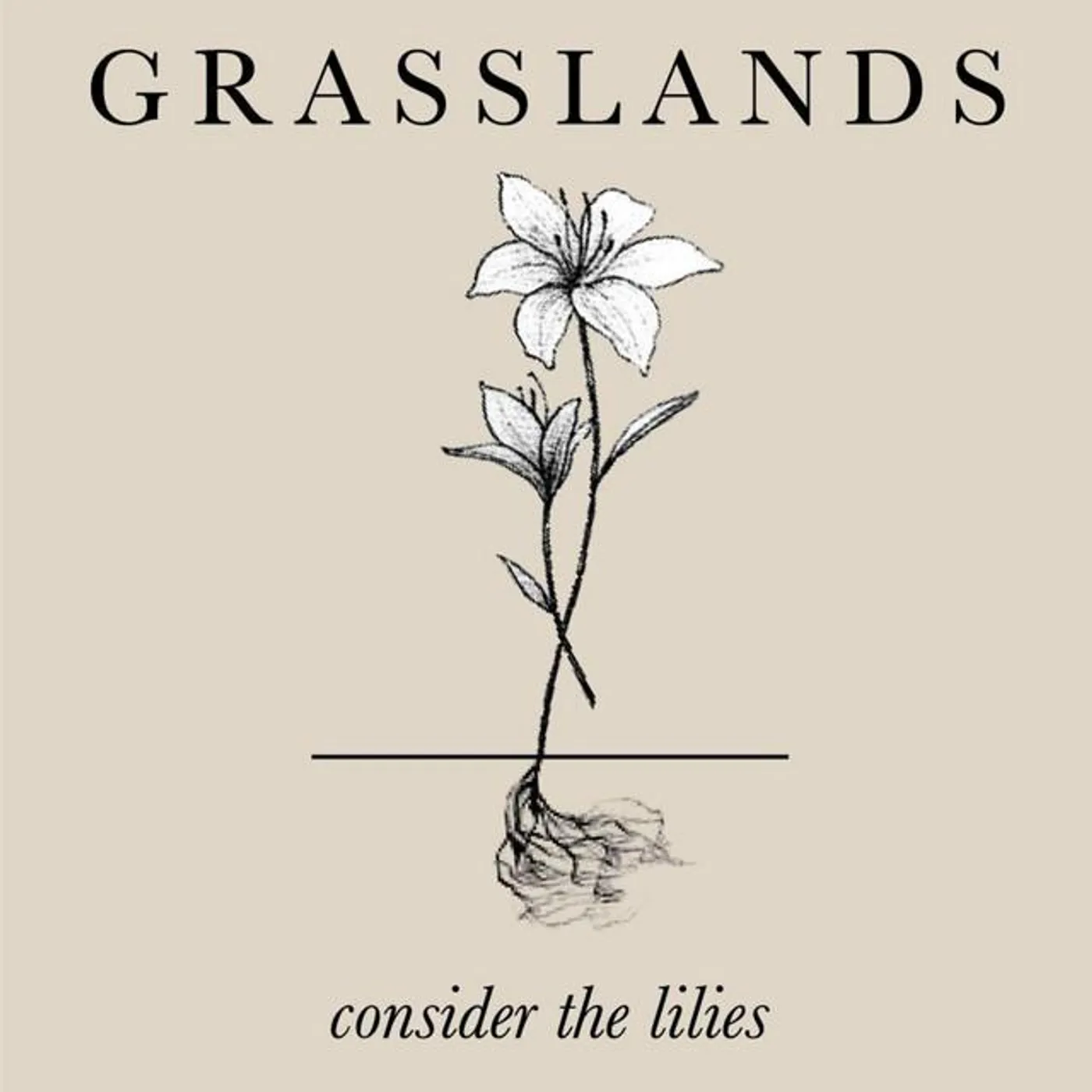 Grasslands