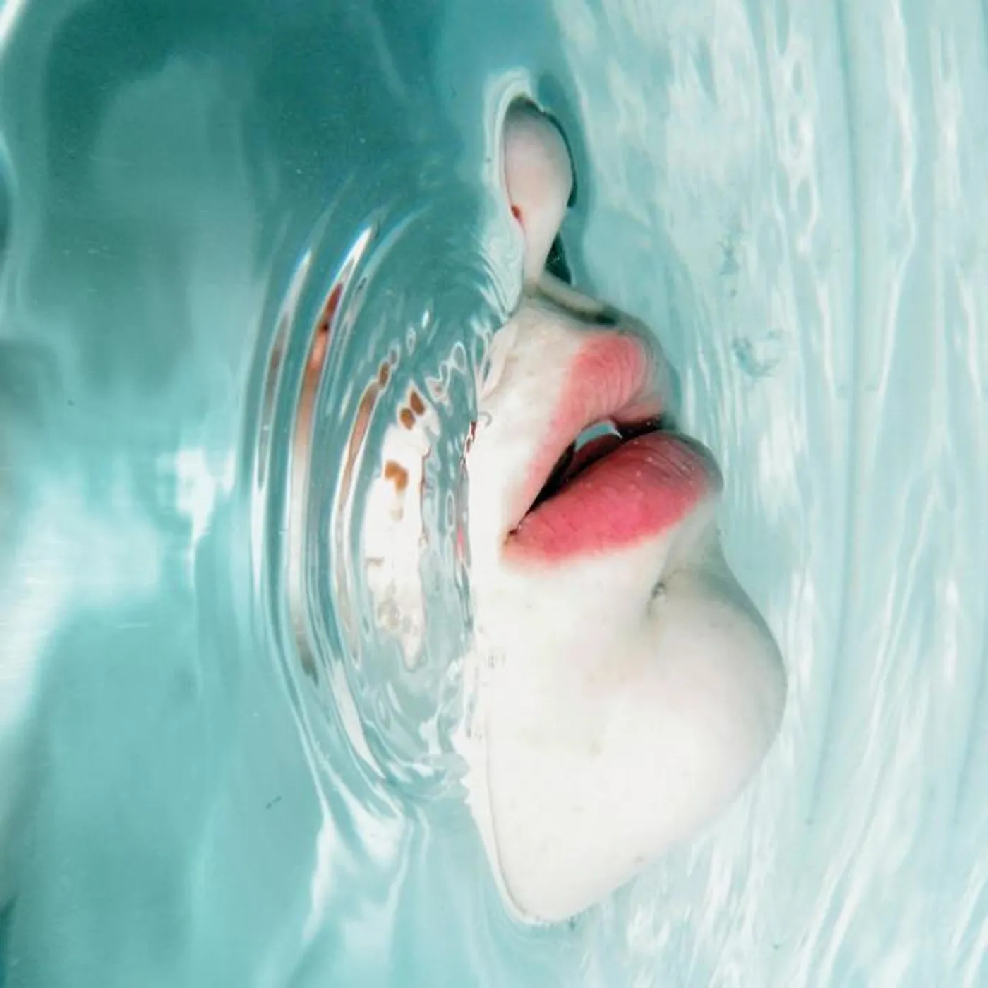 Greatest Lakes Brand Page