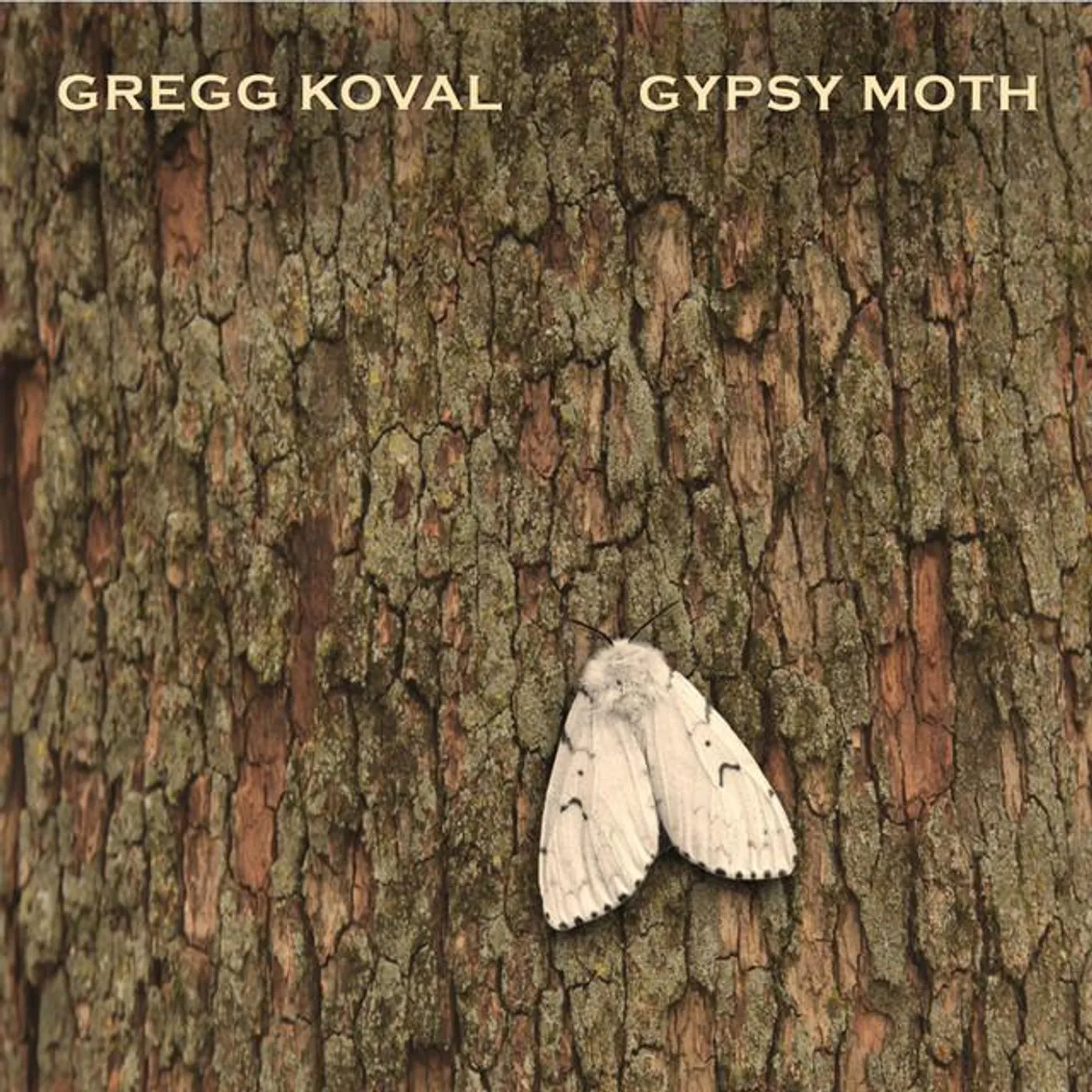 Gregg Koval