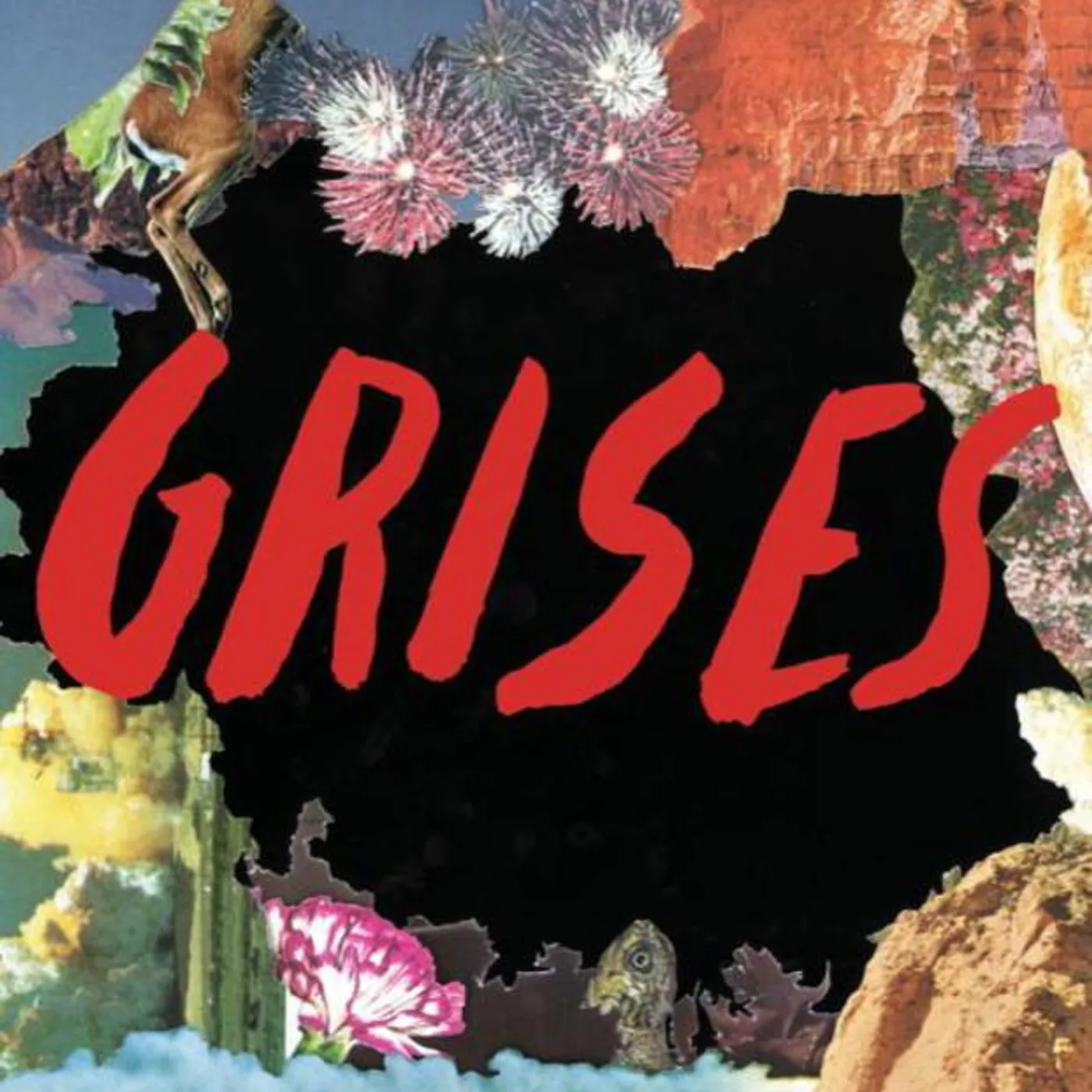 Grises