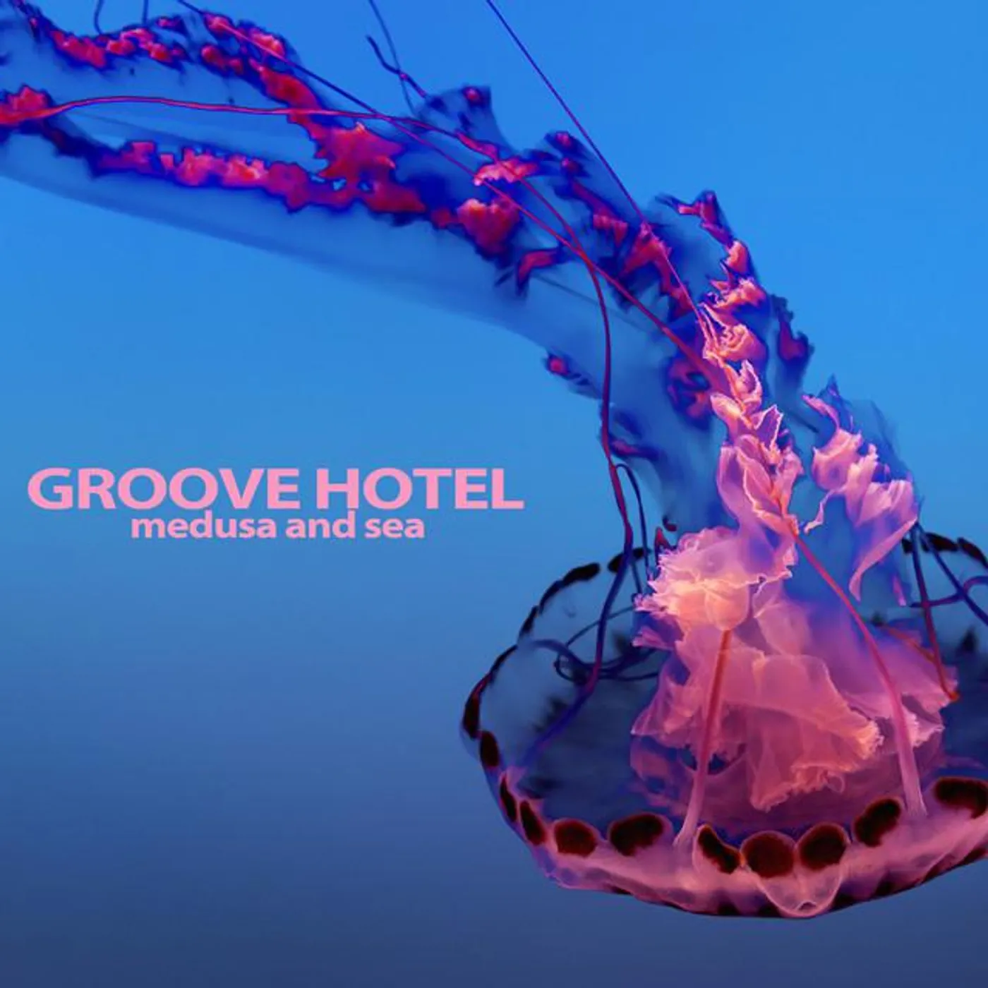 Groove Hotel Brand Page