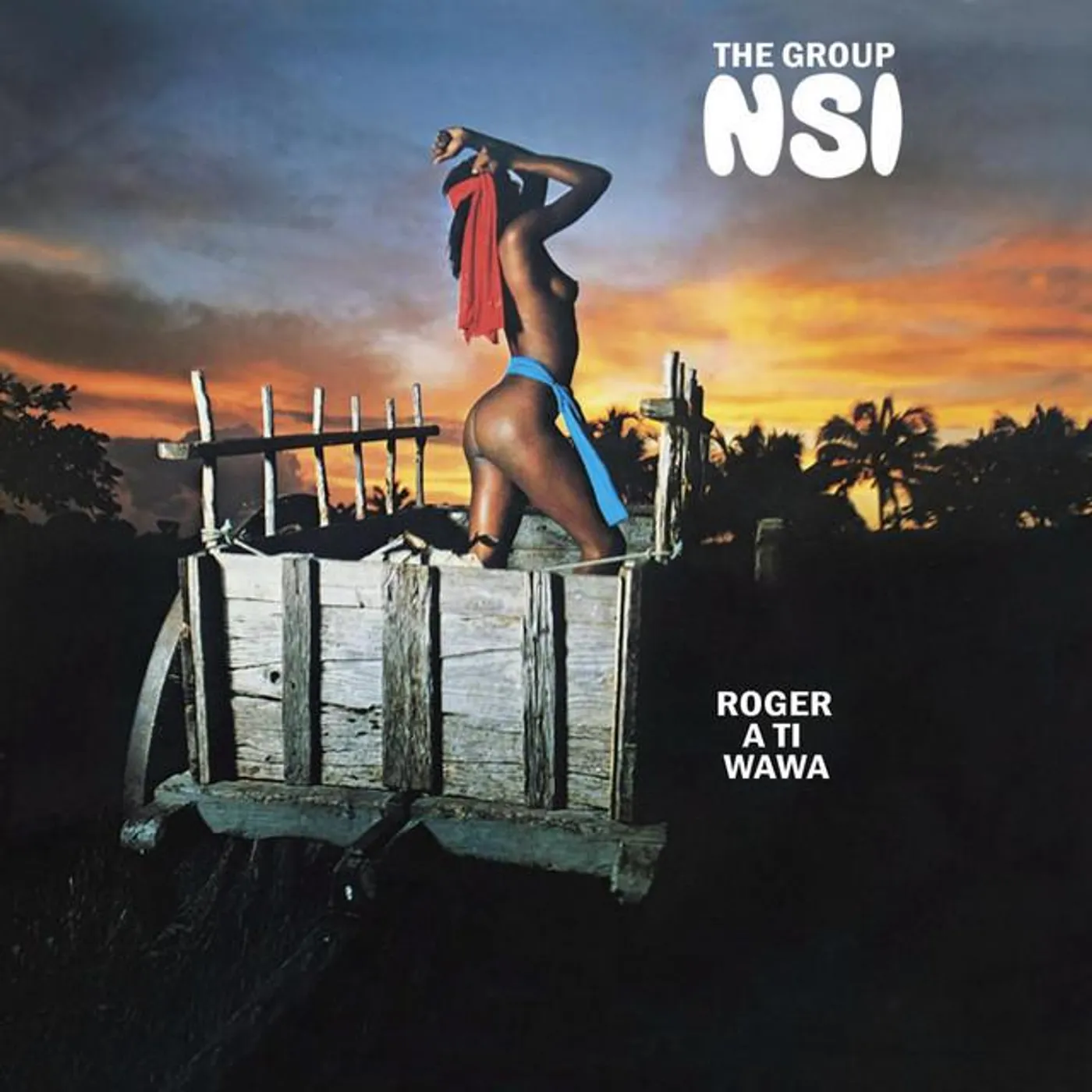The Group NSI