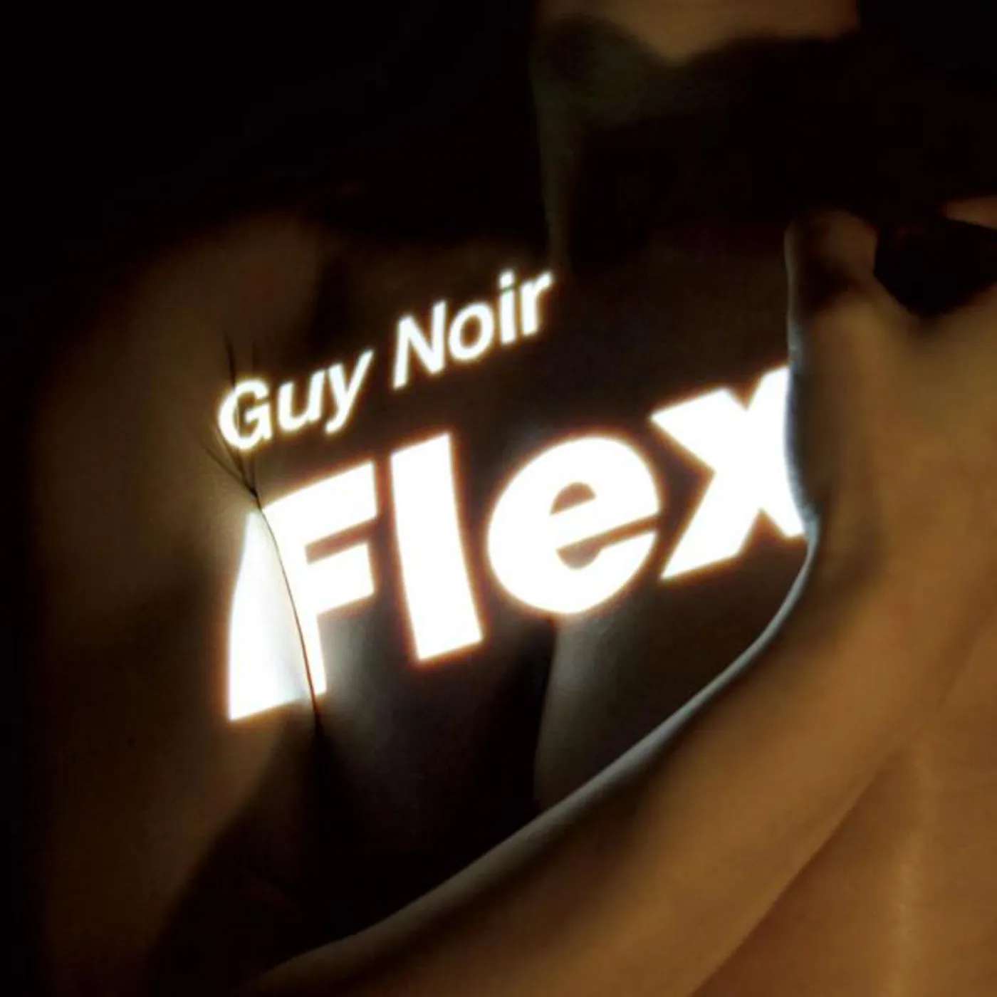 Guy Noir Brand Page