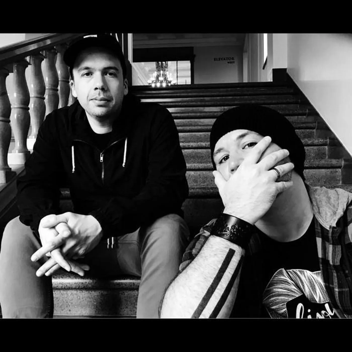 Guante & Big Cats