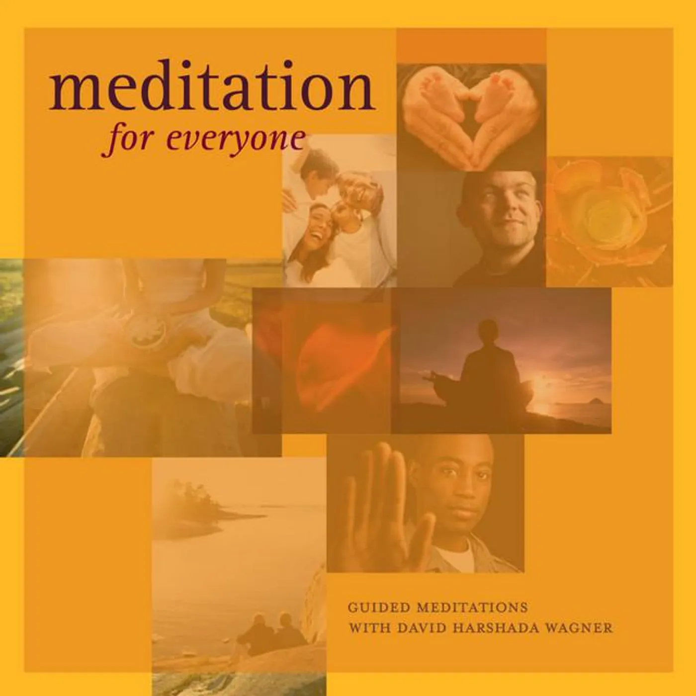 Guided Meditation With David Harshada Wagner