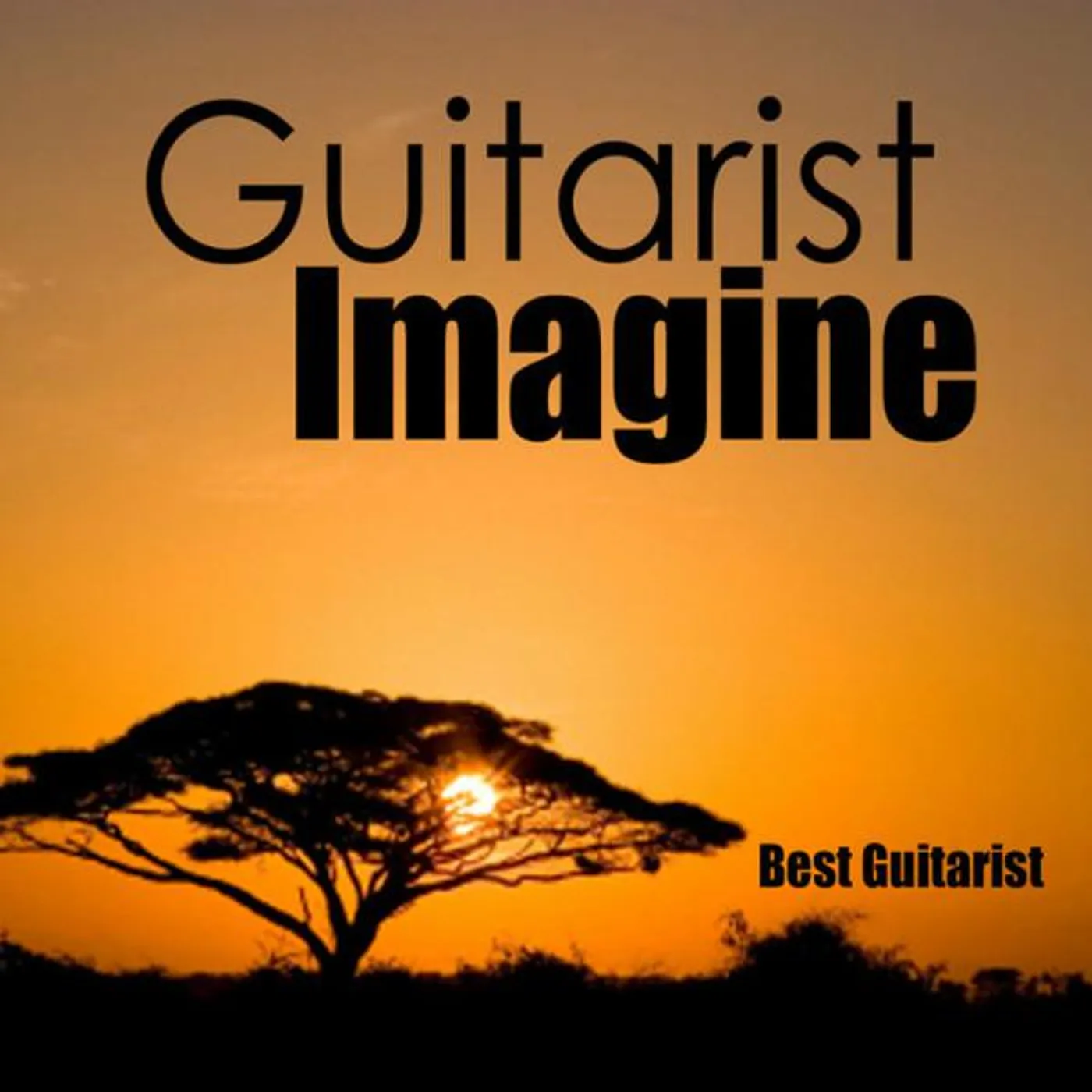 Guitarist Brand Page