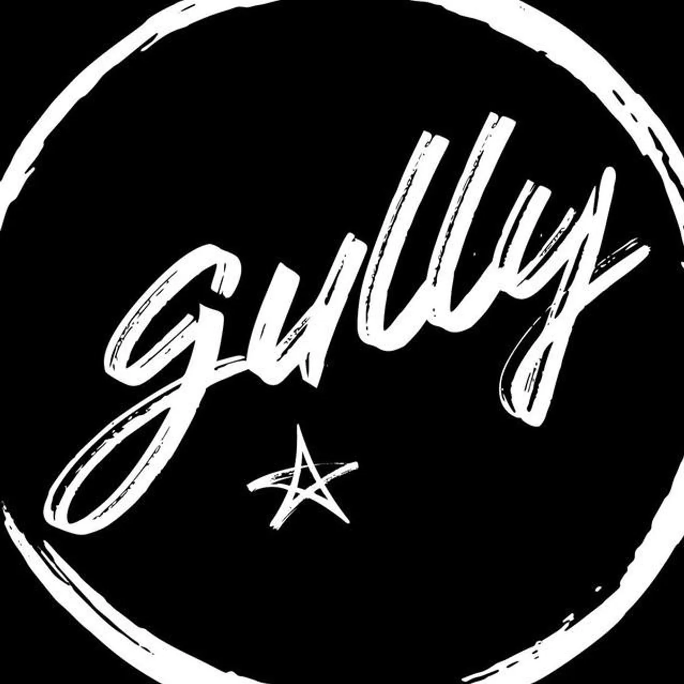 Gullypabs