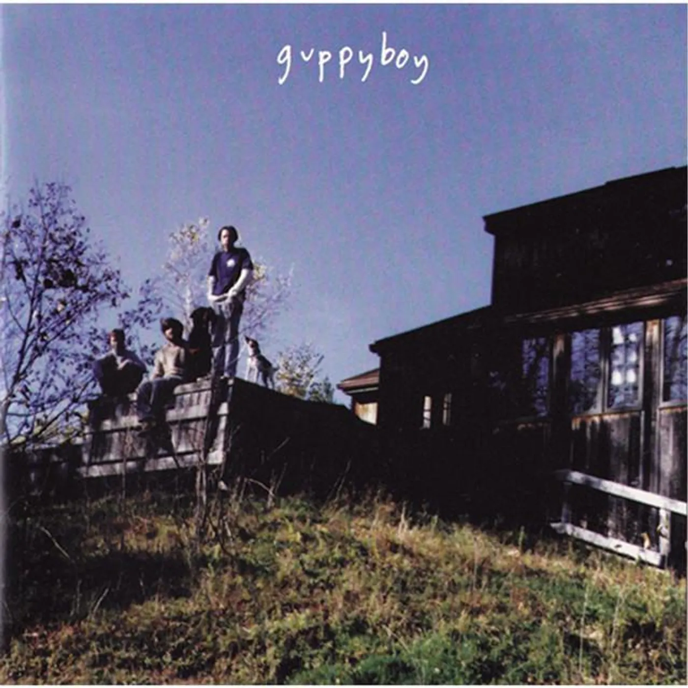 Guppyboy