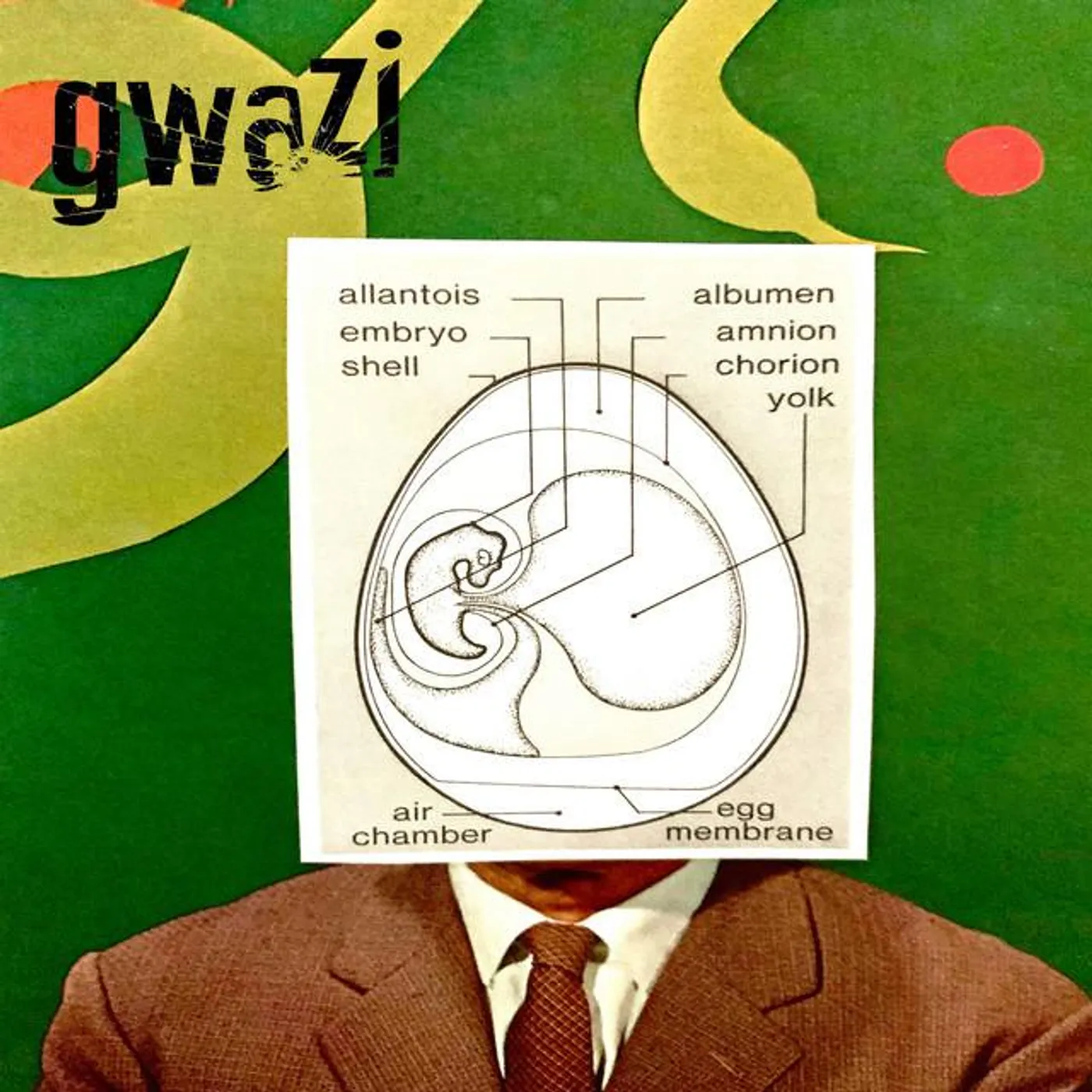 Gwazi