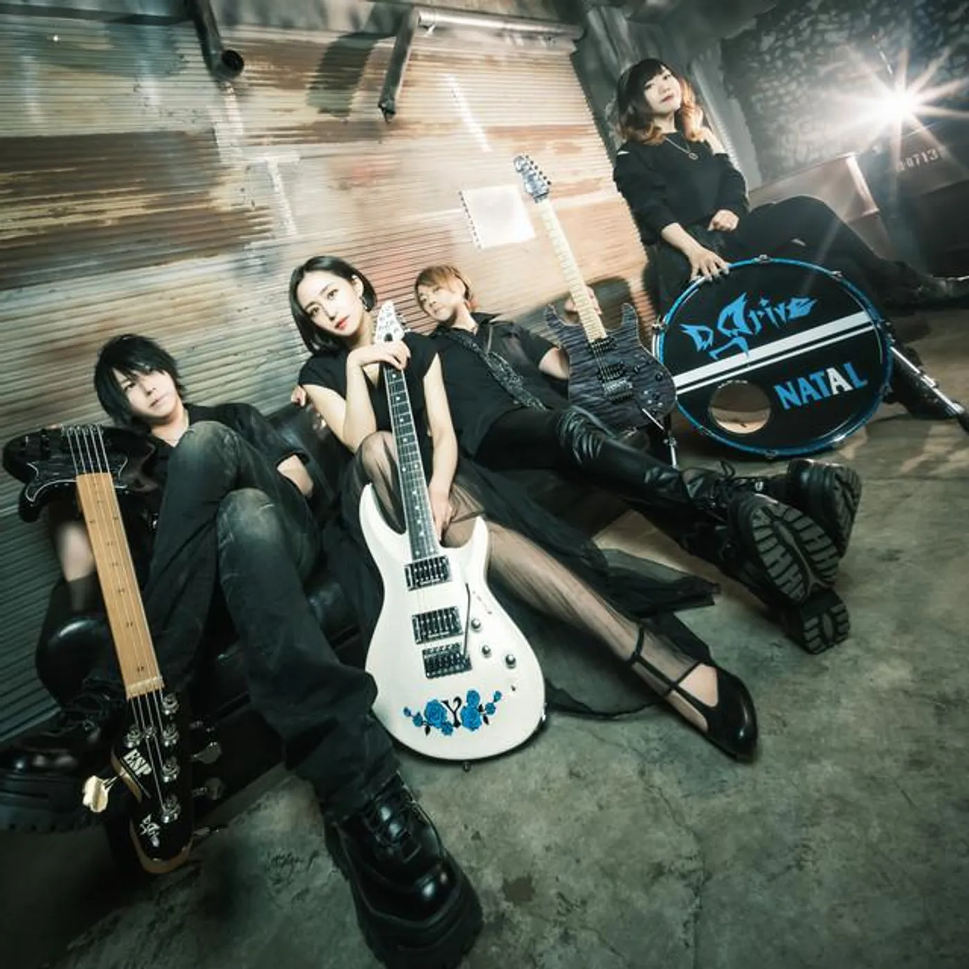 D_Drive Brand Page