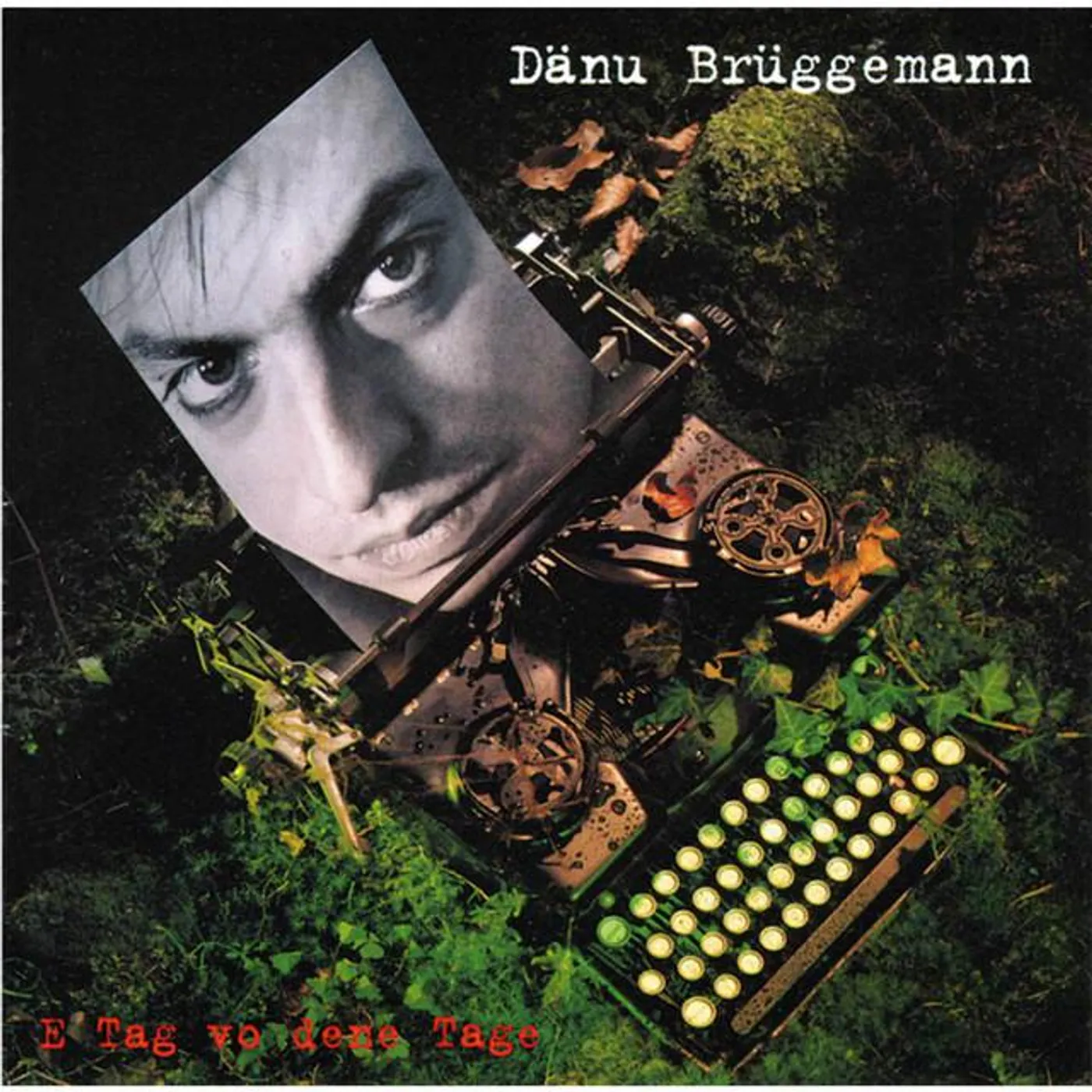 Dänu Brüggemann Brand Page