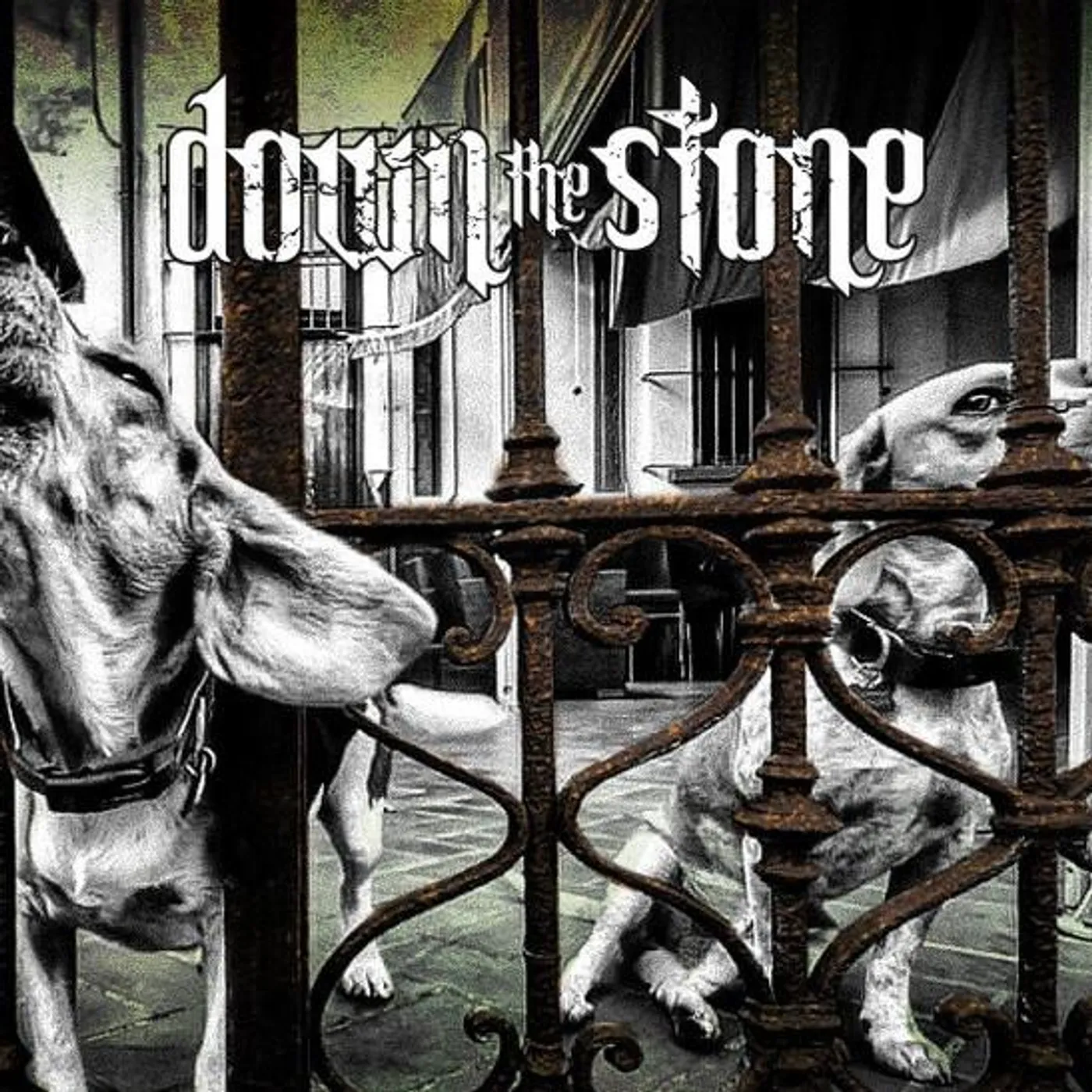 Down the Stone Brand Page