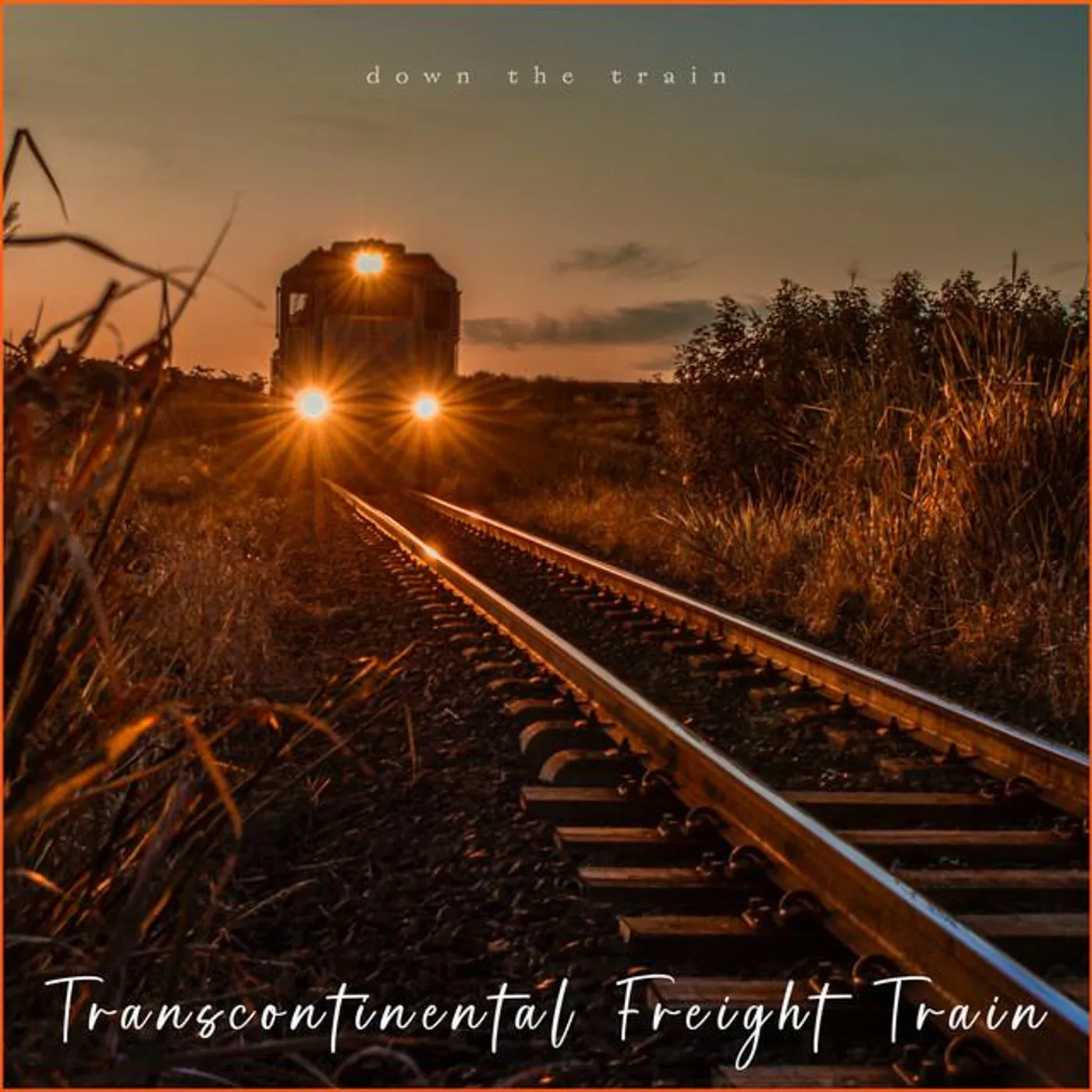 Down The Train Brand Page