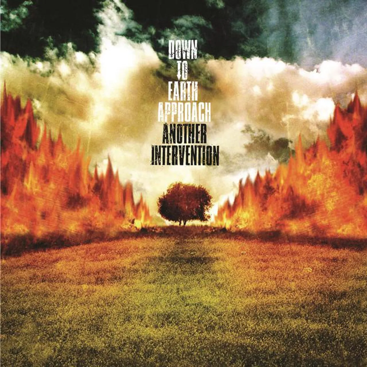 Down To Earth Approach Brand Page