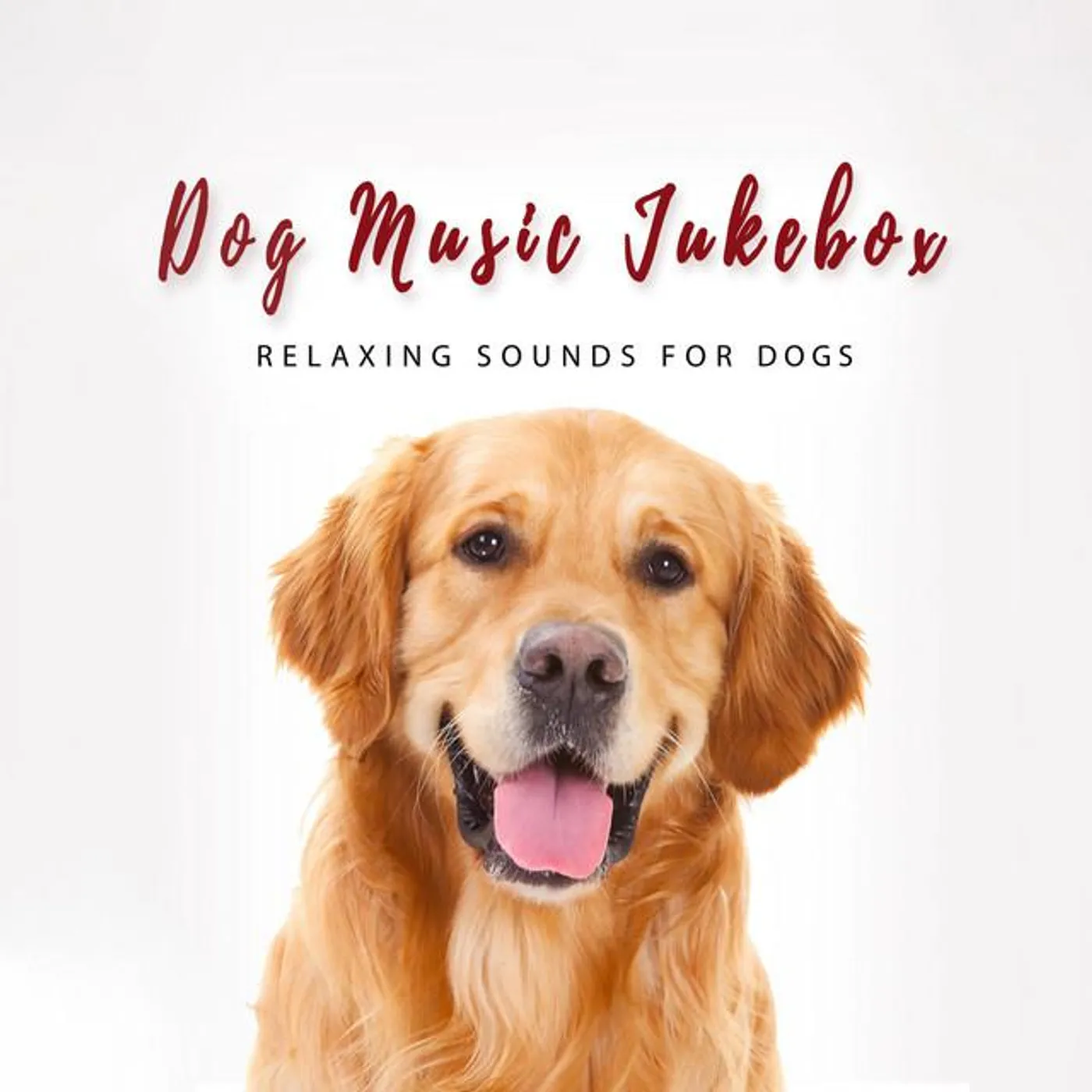 Dog Music Jukebox