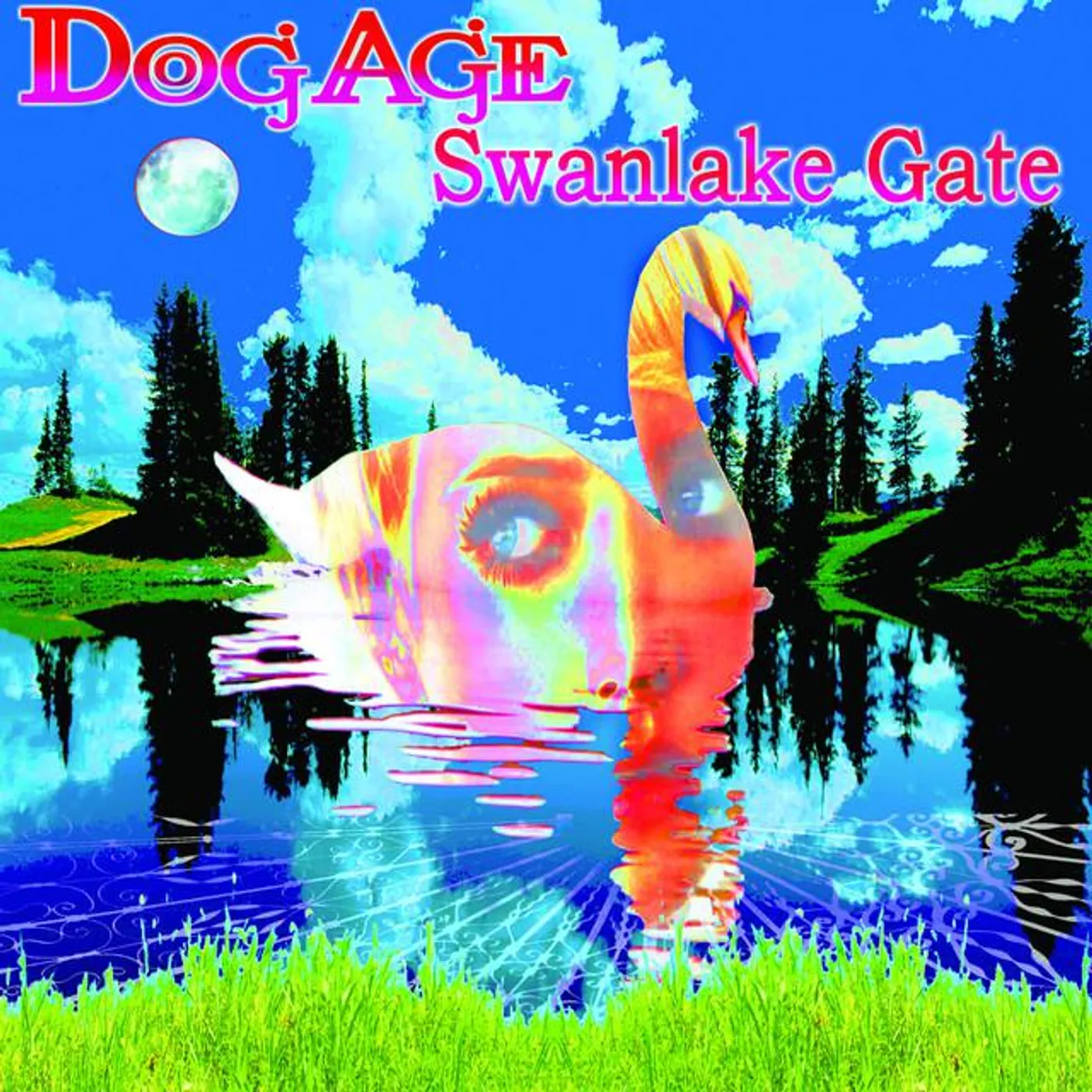 Dog Age