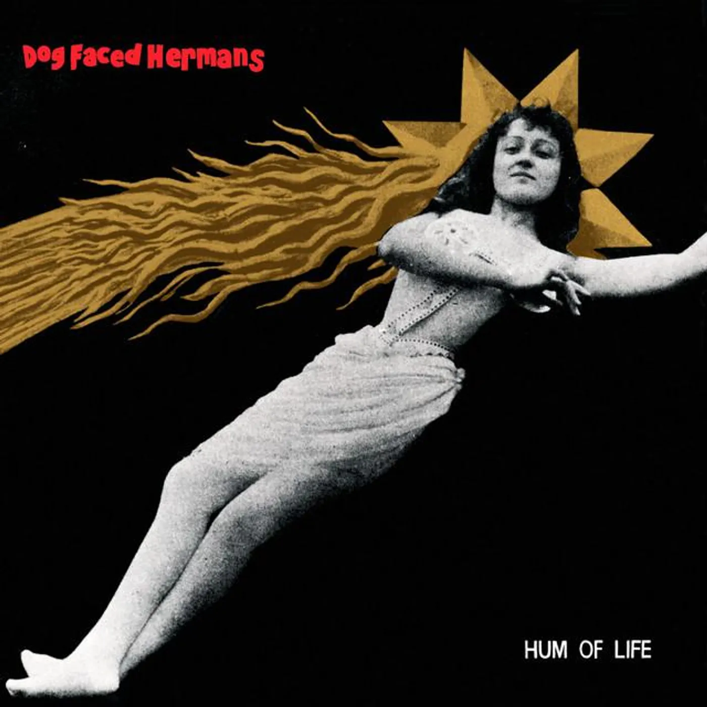 Dog Faced Hermans Brand Page