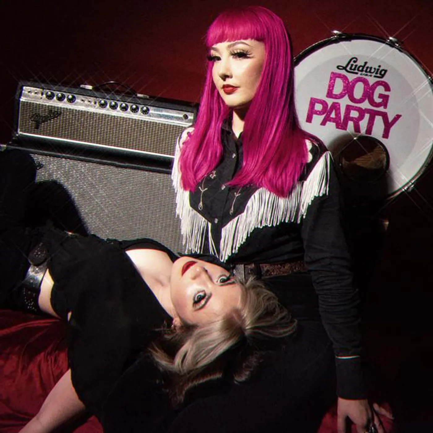Dog Party Brand Page