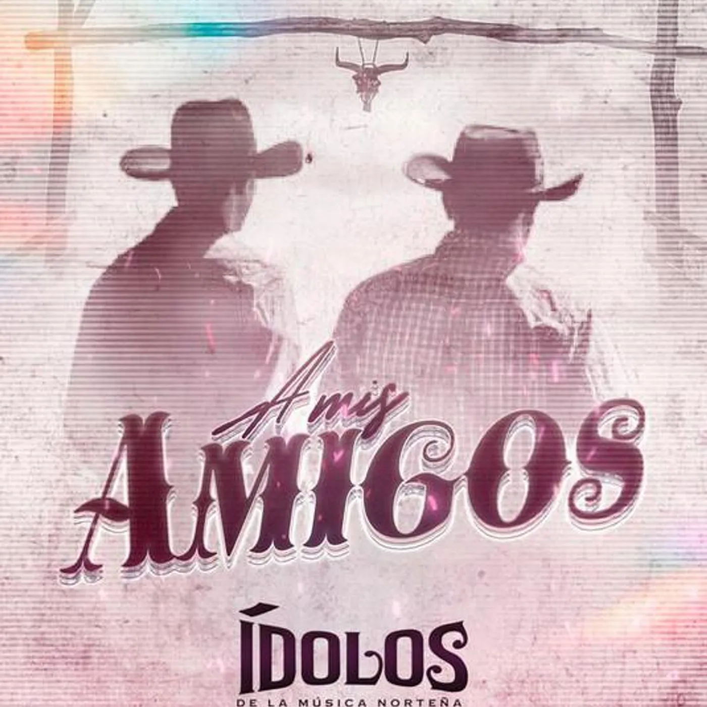 Ídolos de la Música Norteña Brand Page