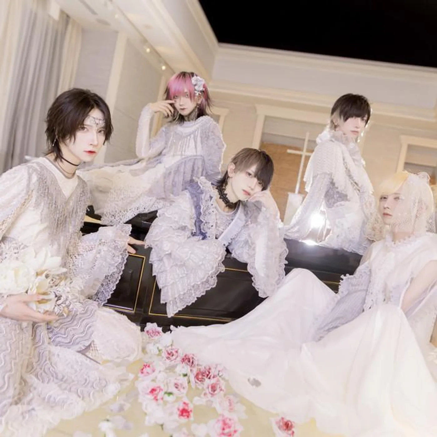 . DOLL
