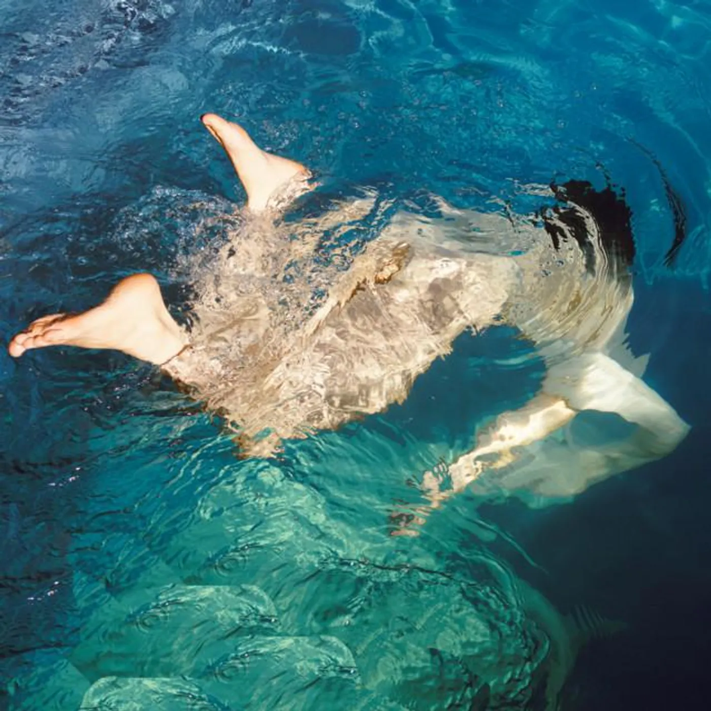 Dolphin Midwives Brand Page
