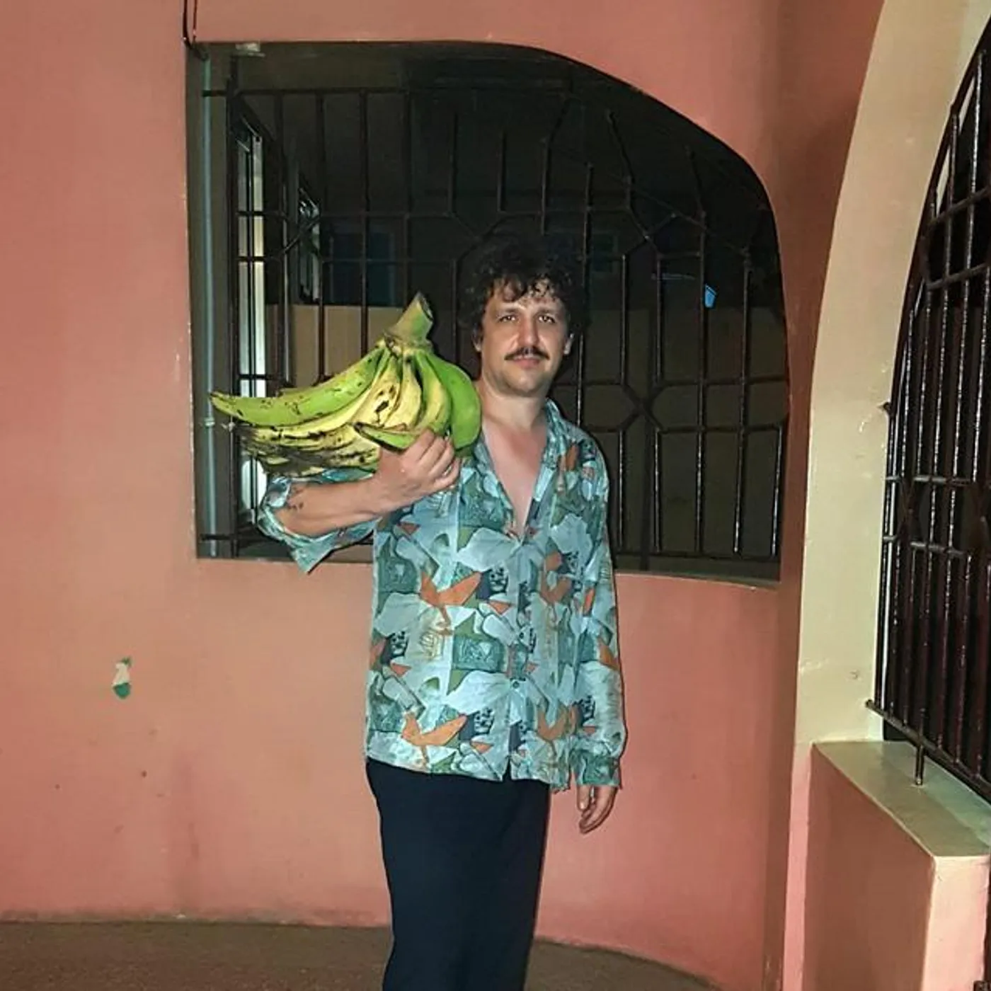 Dolphins Into The Future