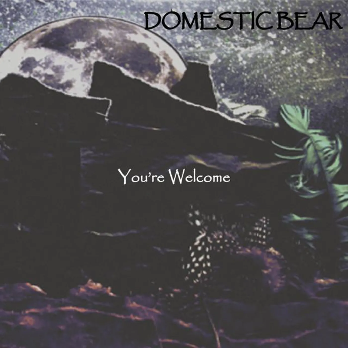 Domestic Bear