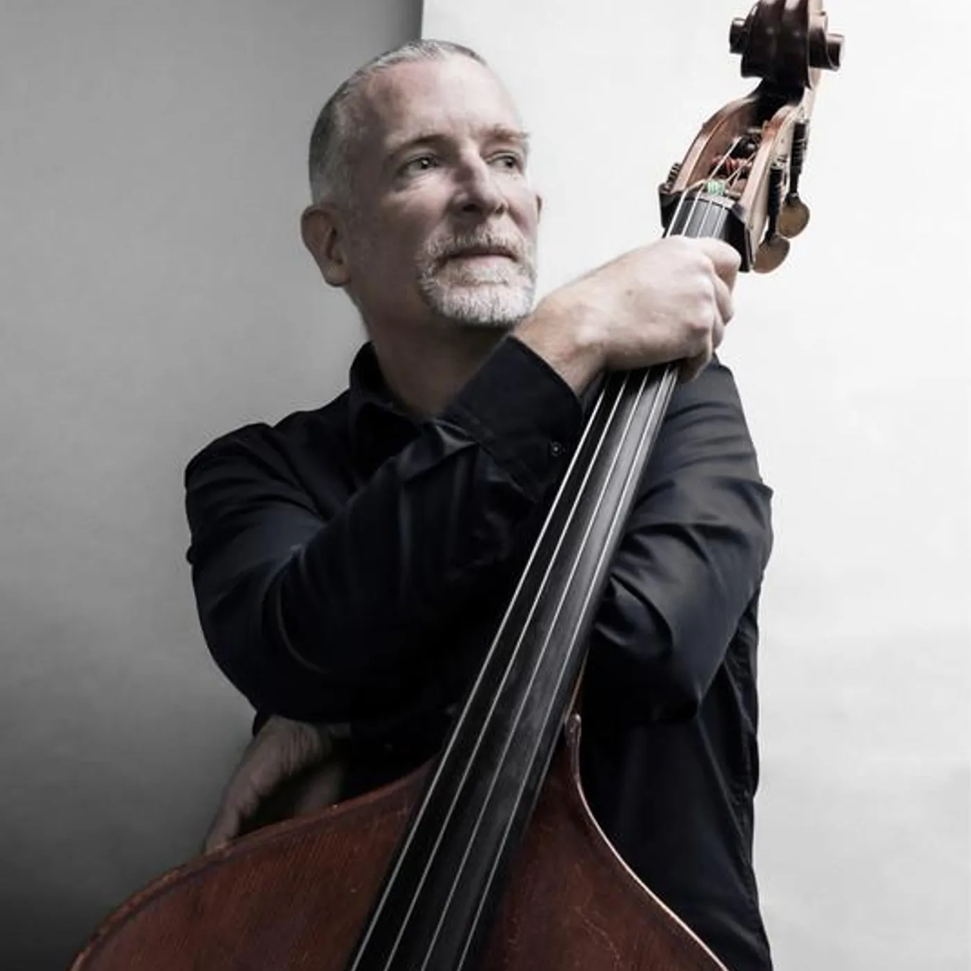 Dominik Schürmann trio Brand Page