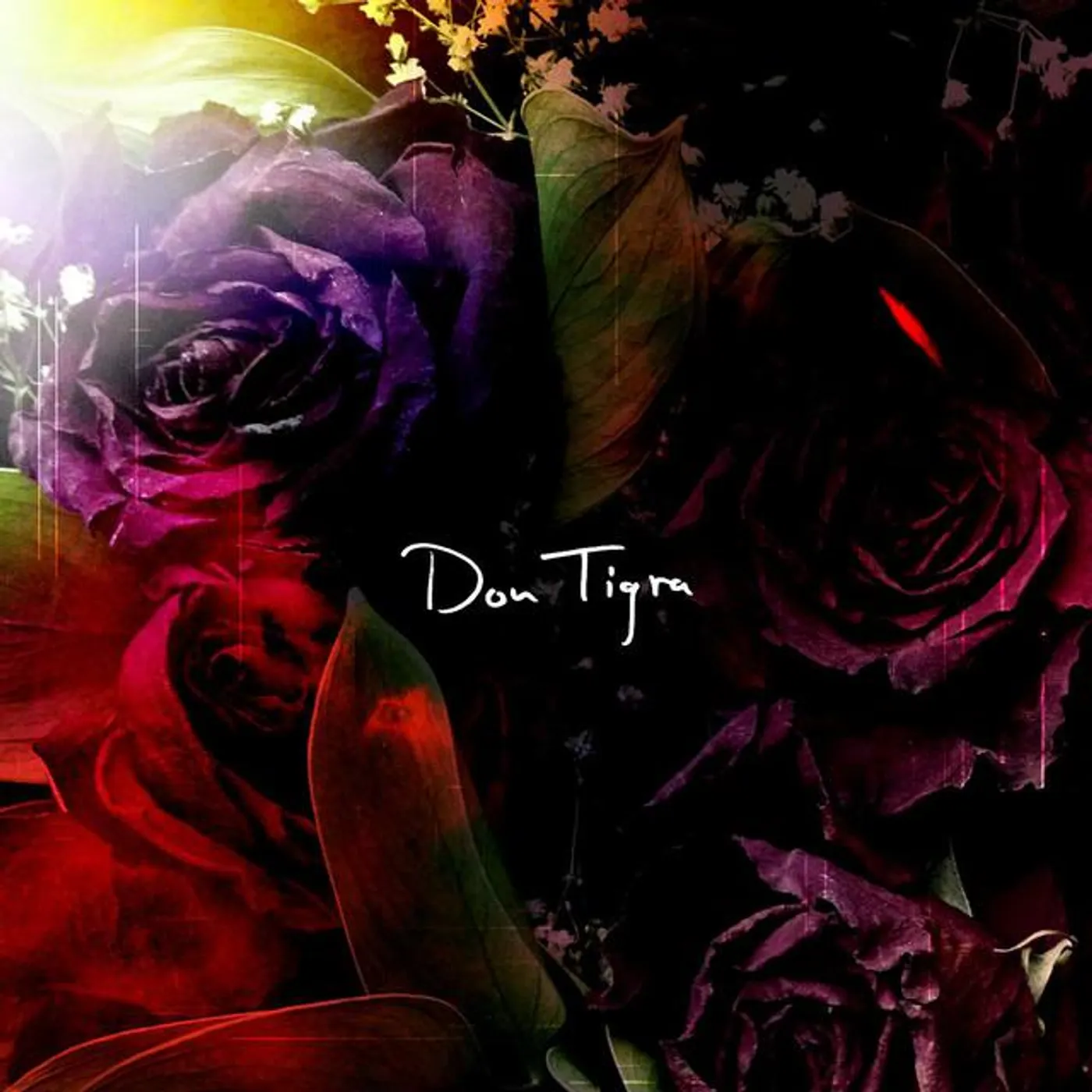 Don Tigra Brand Page