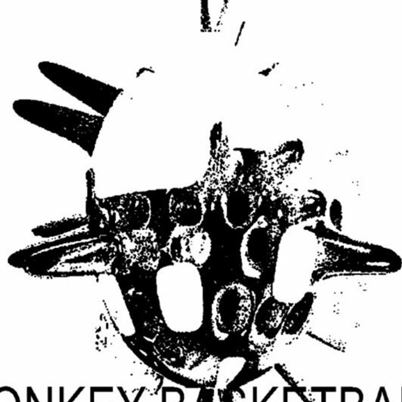 Donkey Basketball Brand Page