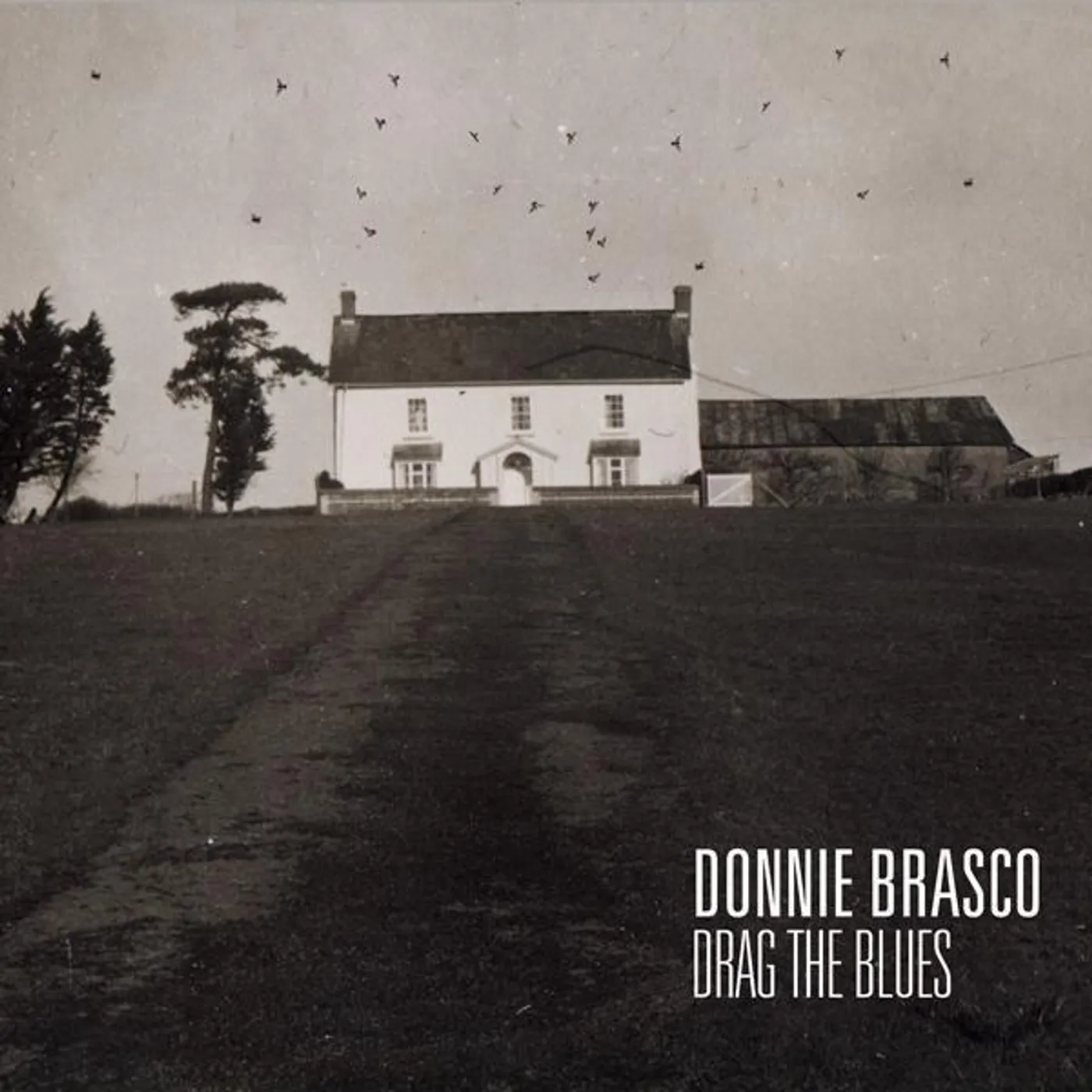 Donnie Brasco